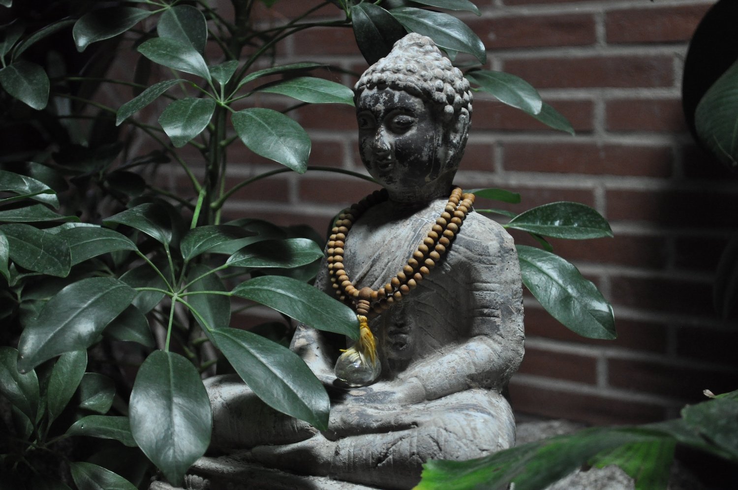 Three Dimensions of EcoDharma with Michael Lobsang Tenpa: Collective