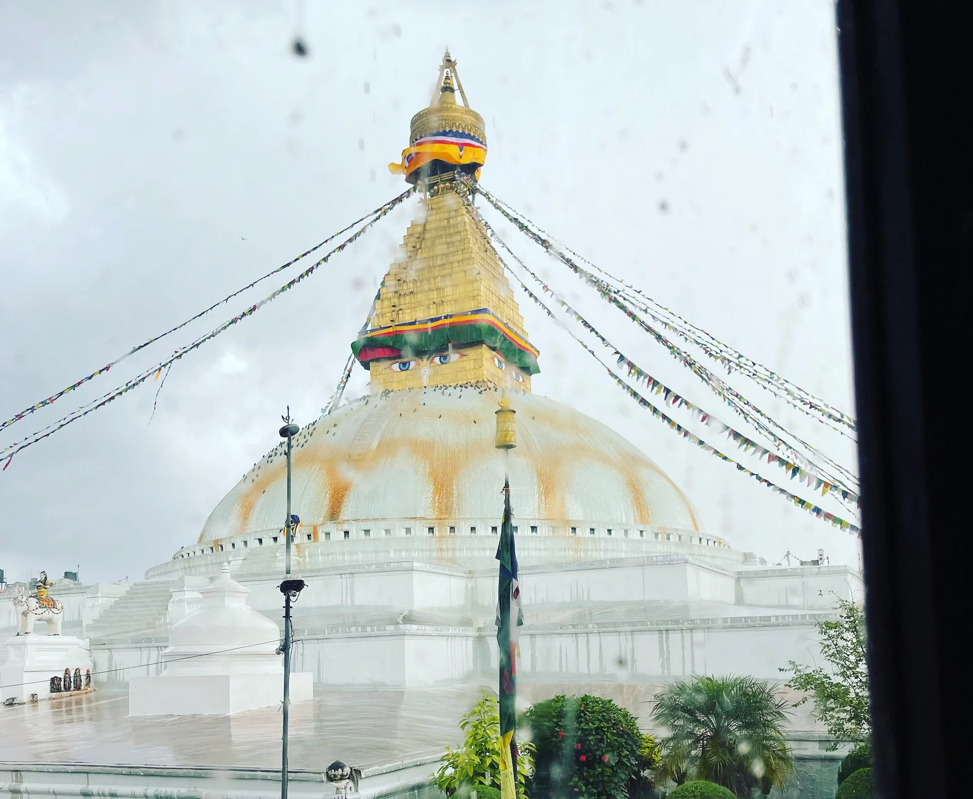 Awakening Self-Kindness: A 3-day Online Retreat with Michael Lobsang Tenpa