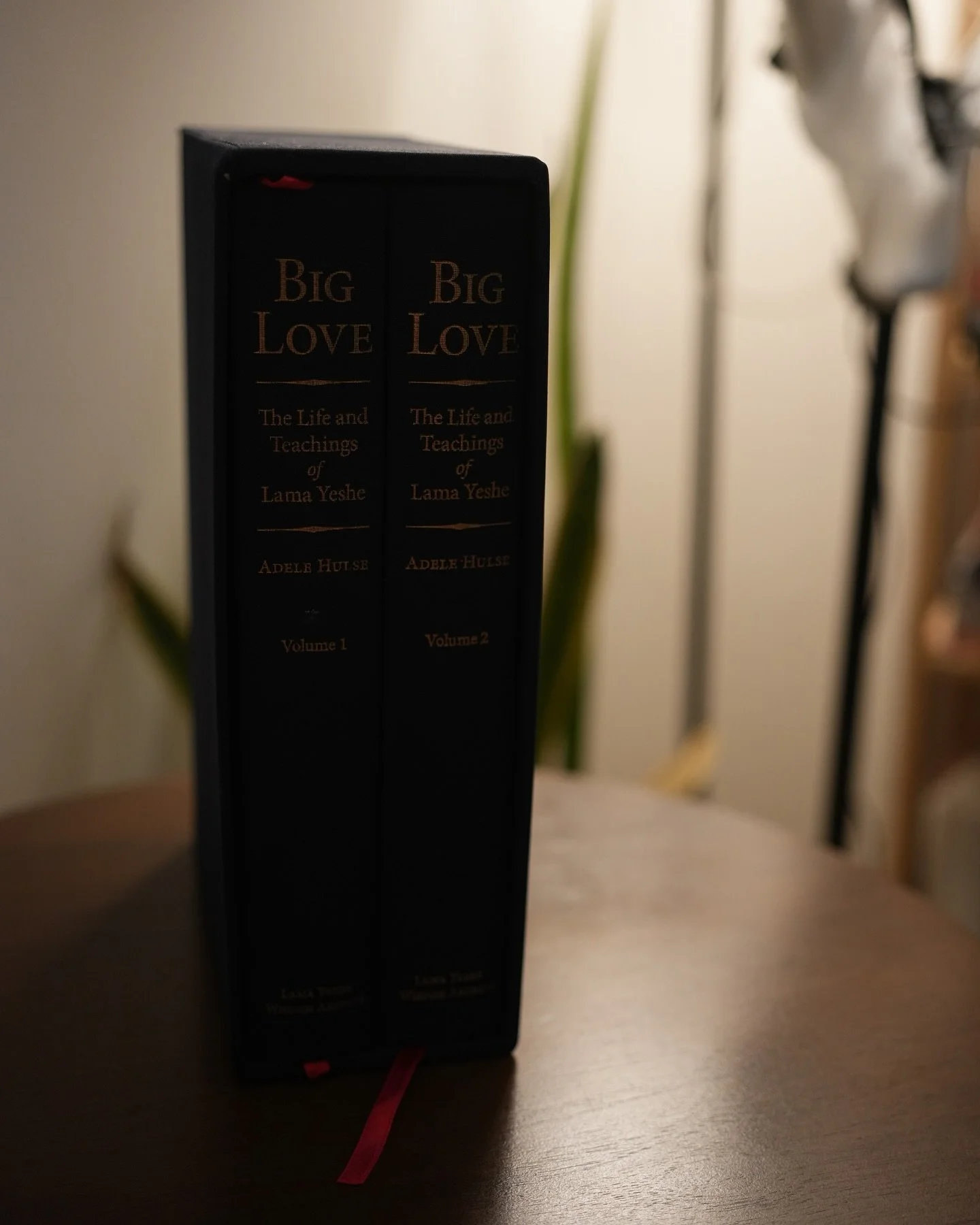 Finally got through all the 1327 gigantic pages of &ldquo;Big Love&rdquo; by Adele Hulse&mdash;and I enjoyed every moment of it. If you&rsquo;re studying or practicing Tibetan Buddhism, this book is a great testament to an incredible era.