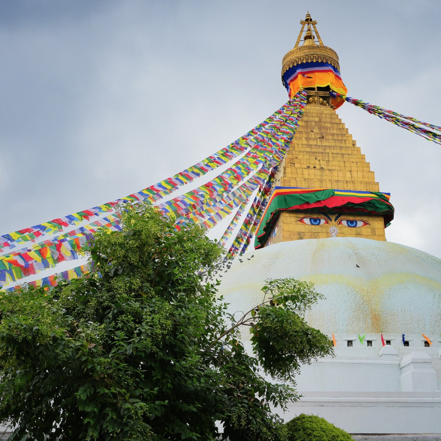 Nepal, November 2025 💙 Sparks of blue to guide us towards ours own [Medicine] Buddha nature