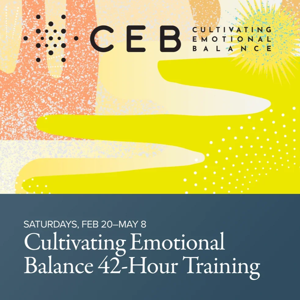 Cultivating Emotional Balance: A Full 42-hour Training (Online)