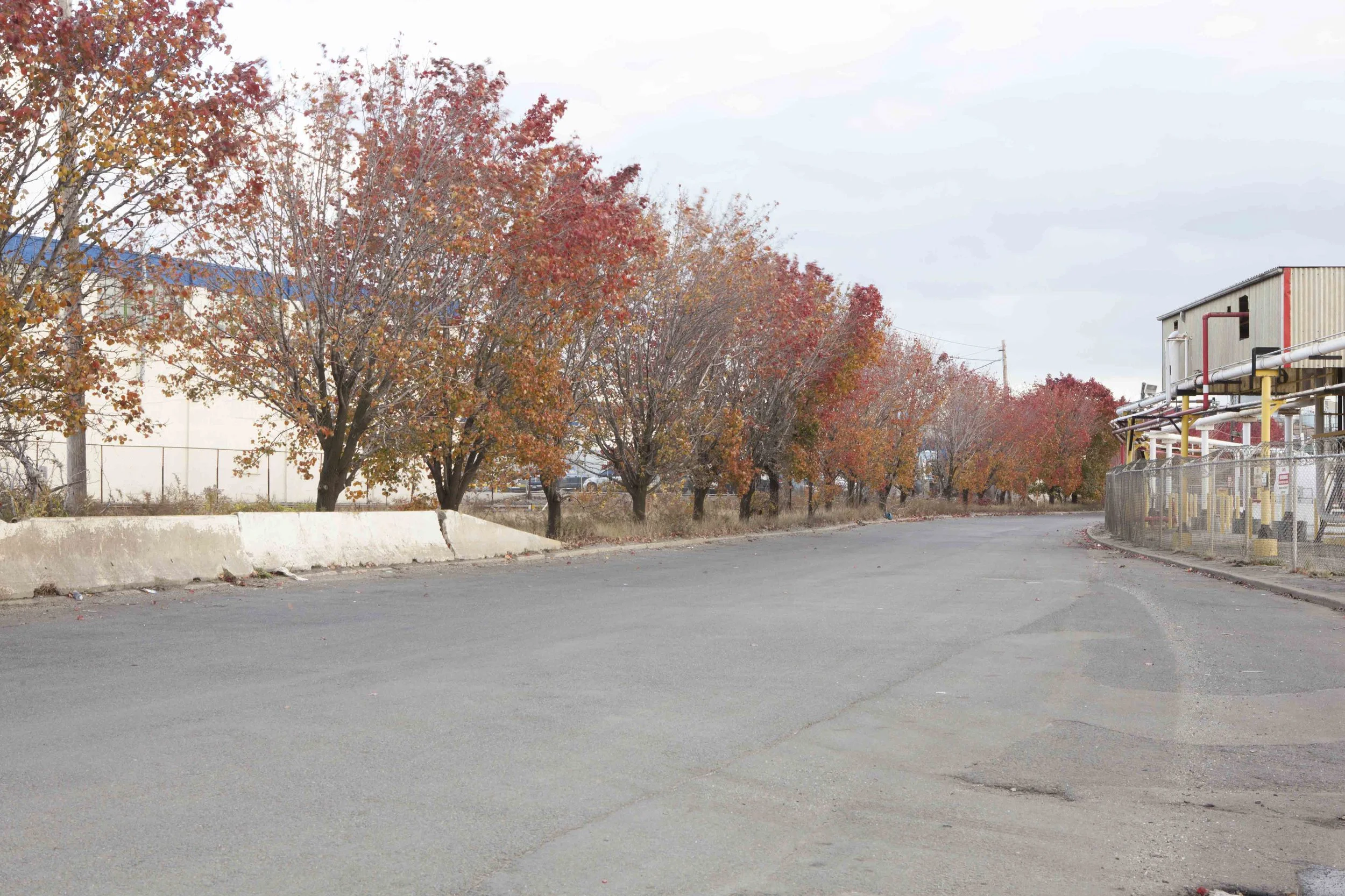 _MG_3988.jpg