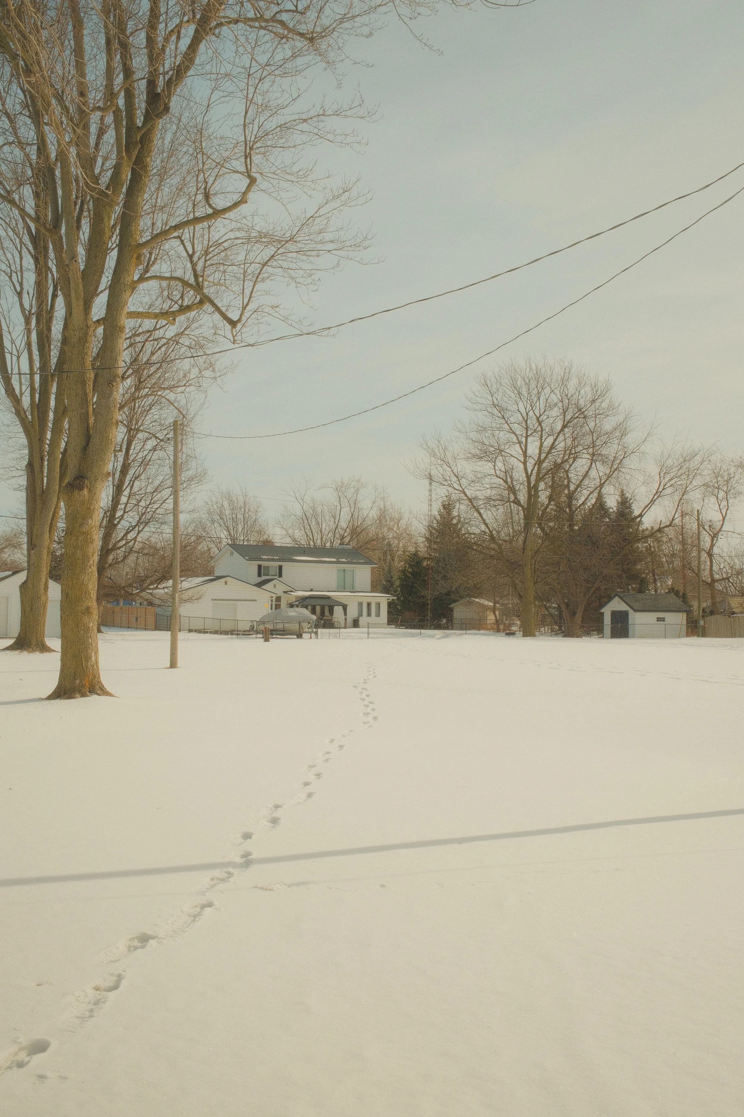 DSCF2619.jpg
