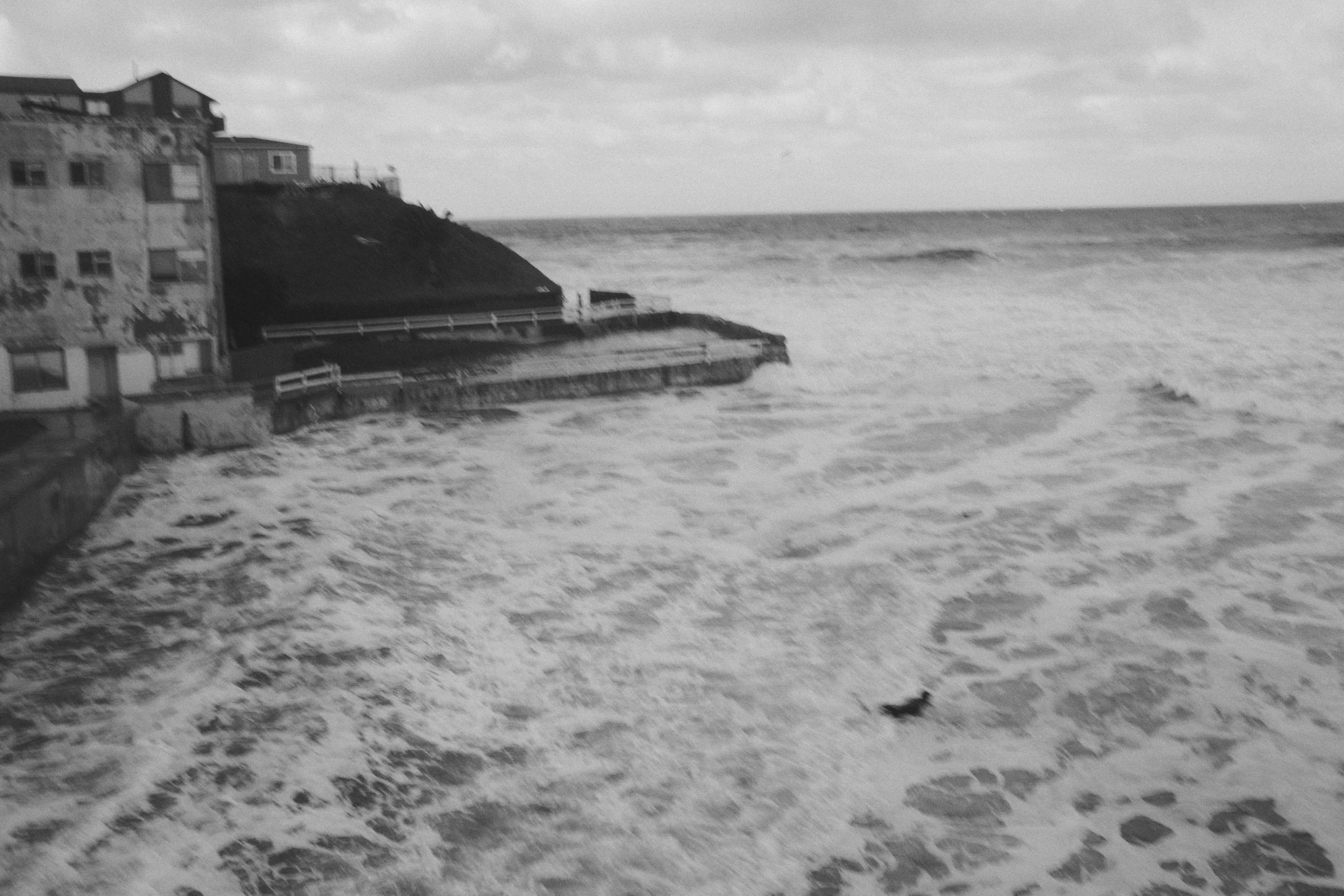DSCF1408.jpg