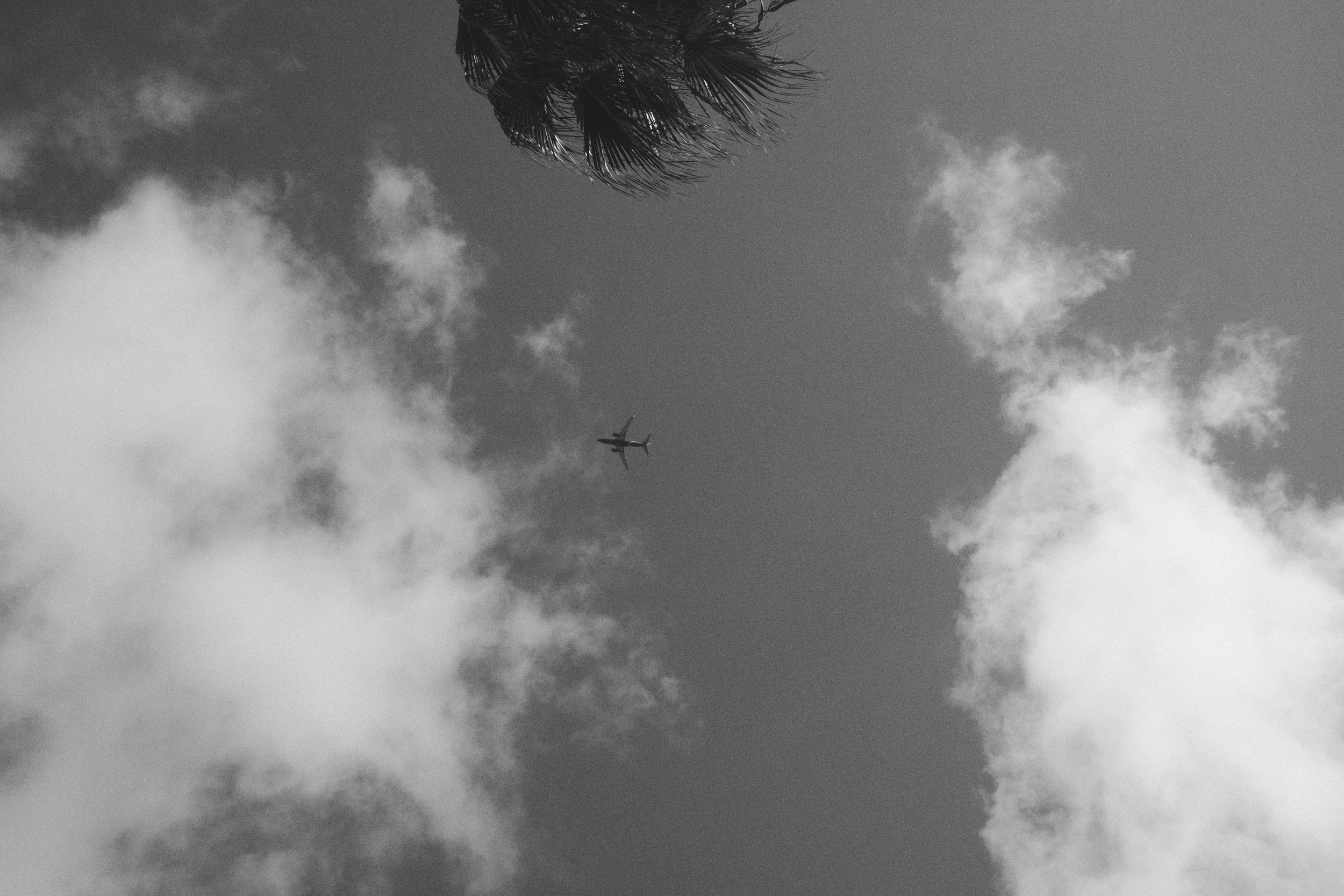 DSCF1388.jpg