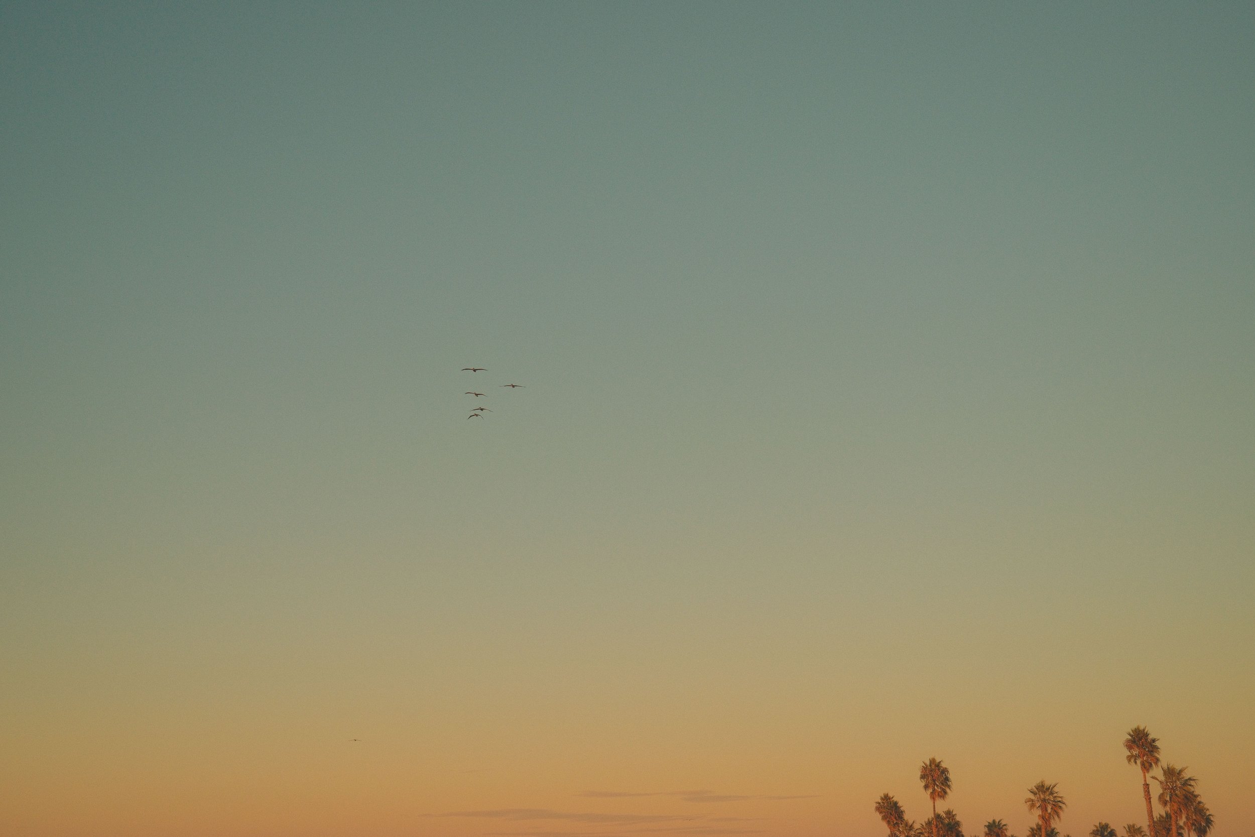 DSCF1828.jpg