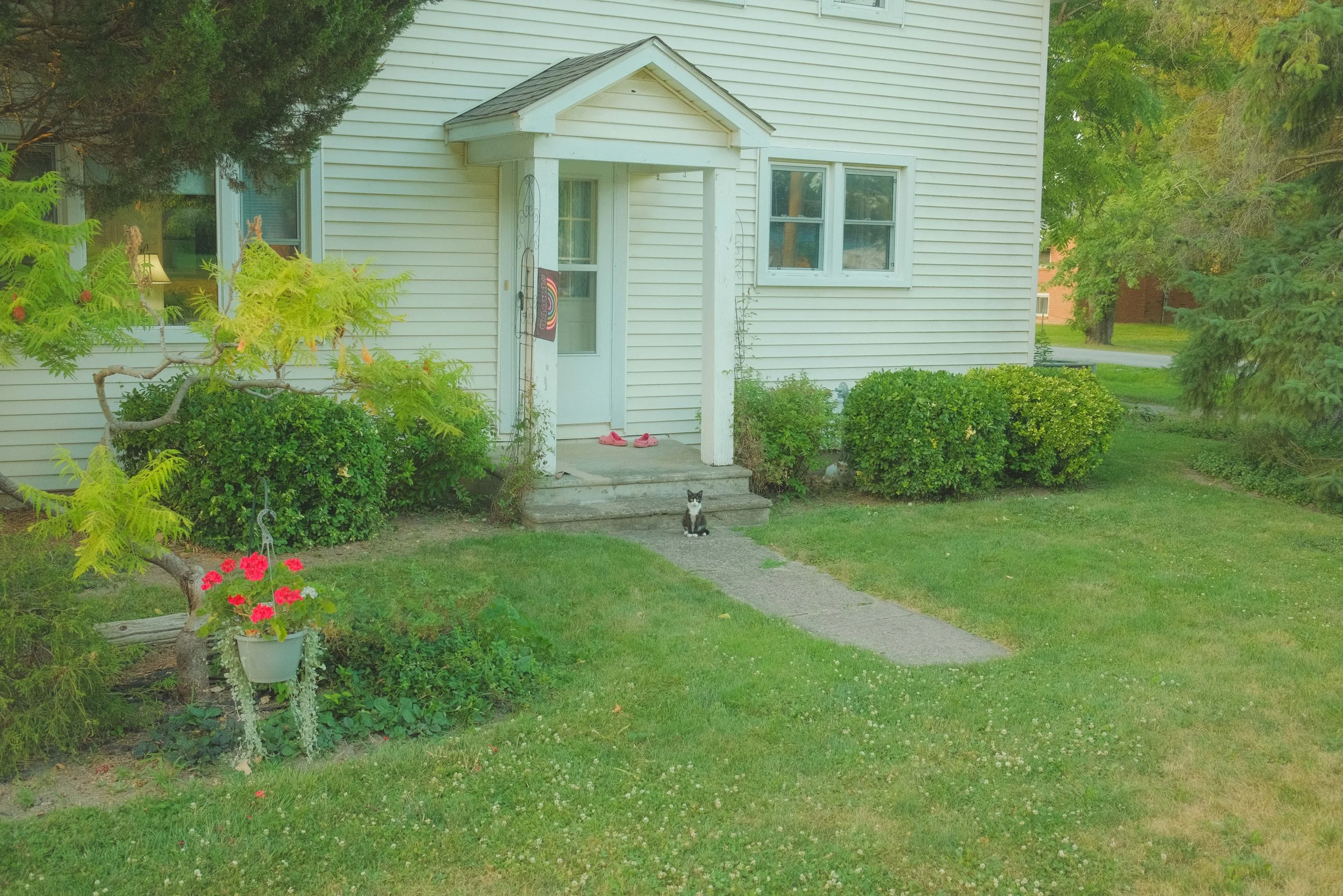 DSCF4190.jpg