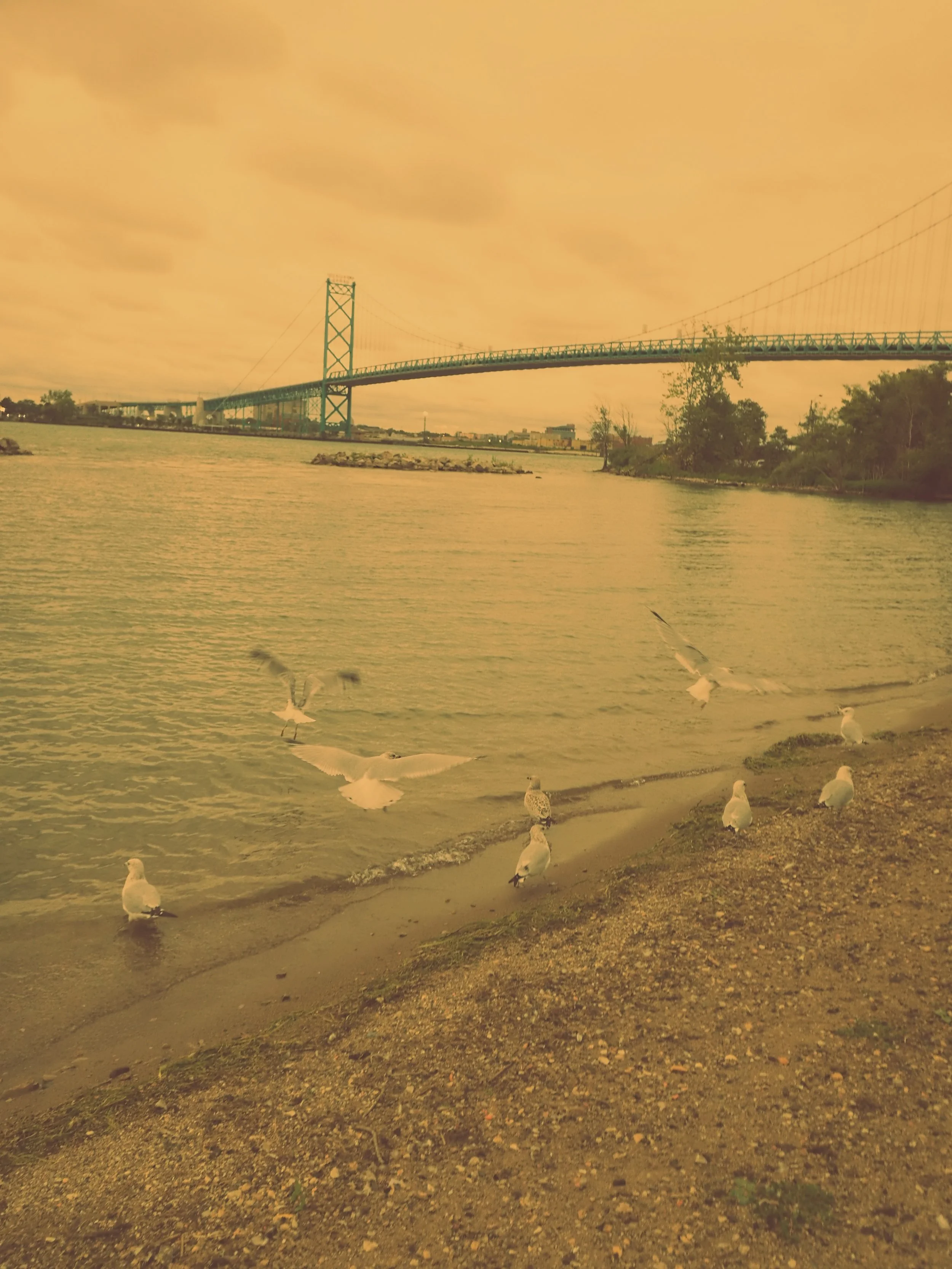 DSCF0053.jpg