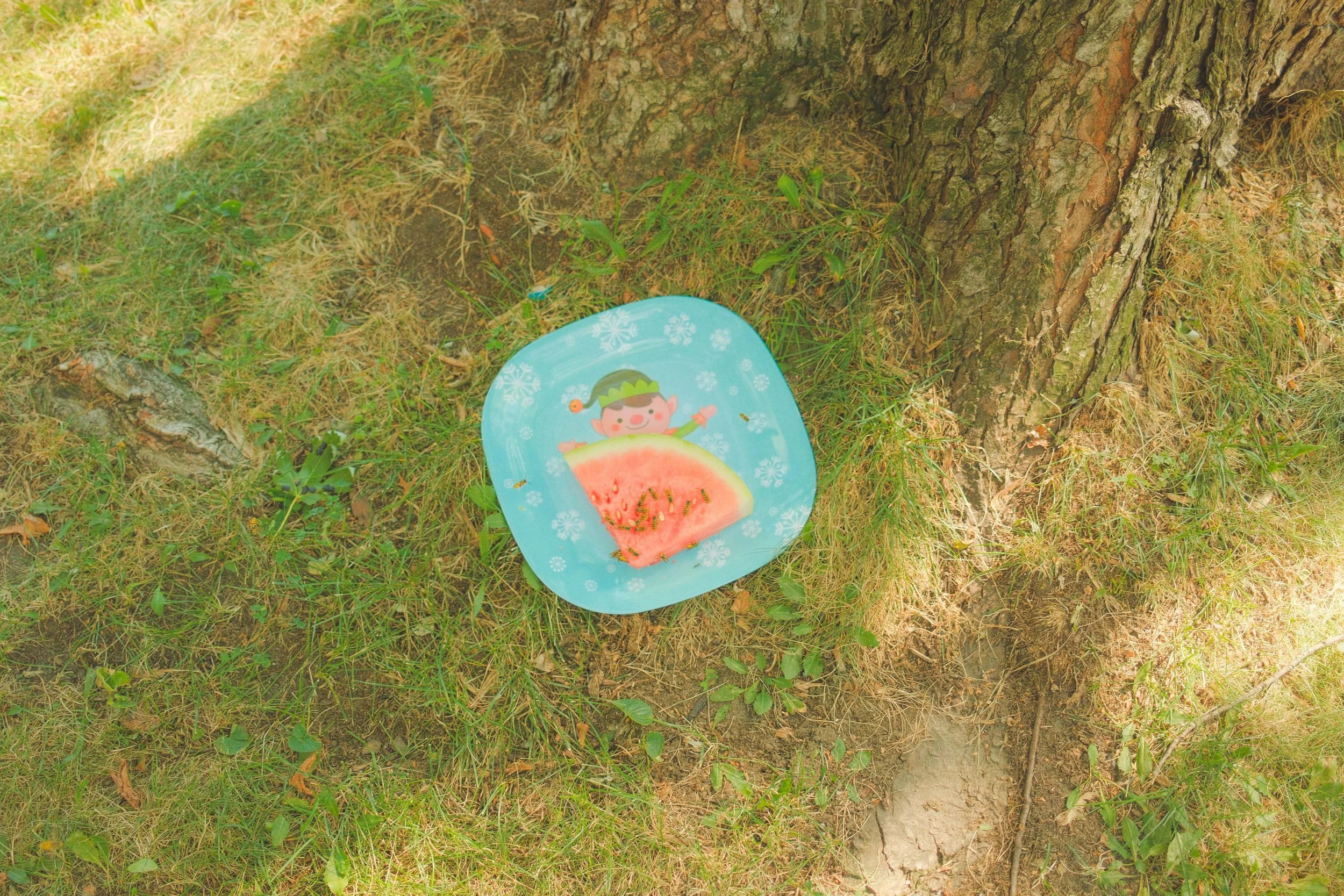 DSCF6292.jpg