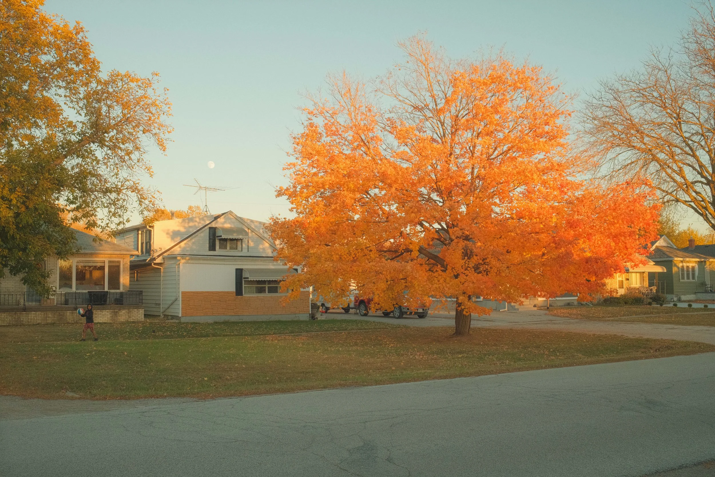 DSCF8459.jpg