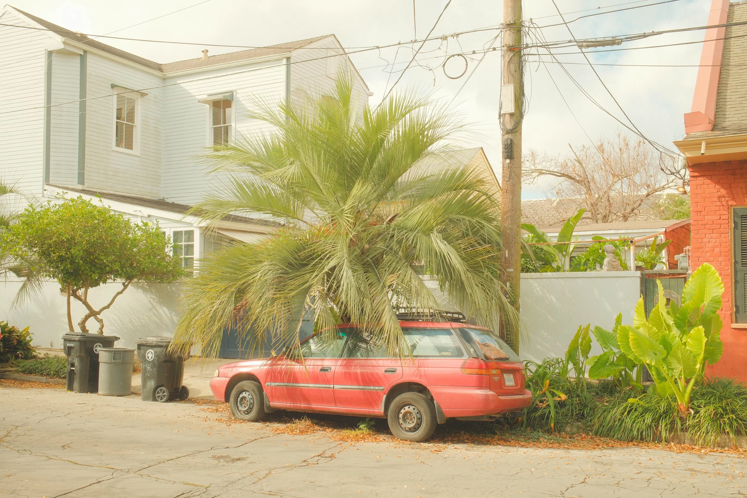 DSCF9063.jpg