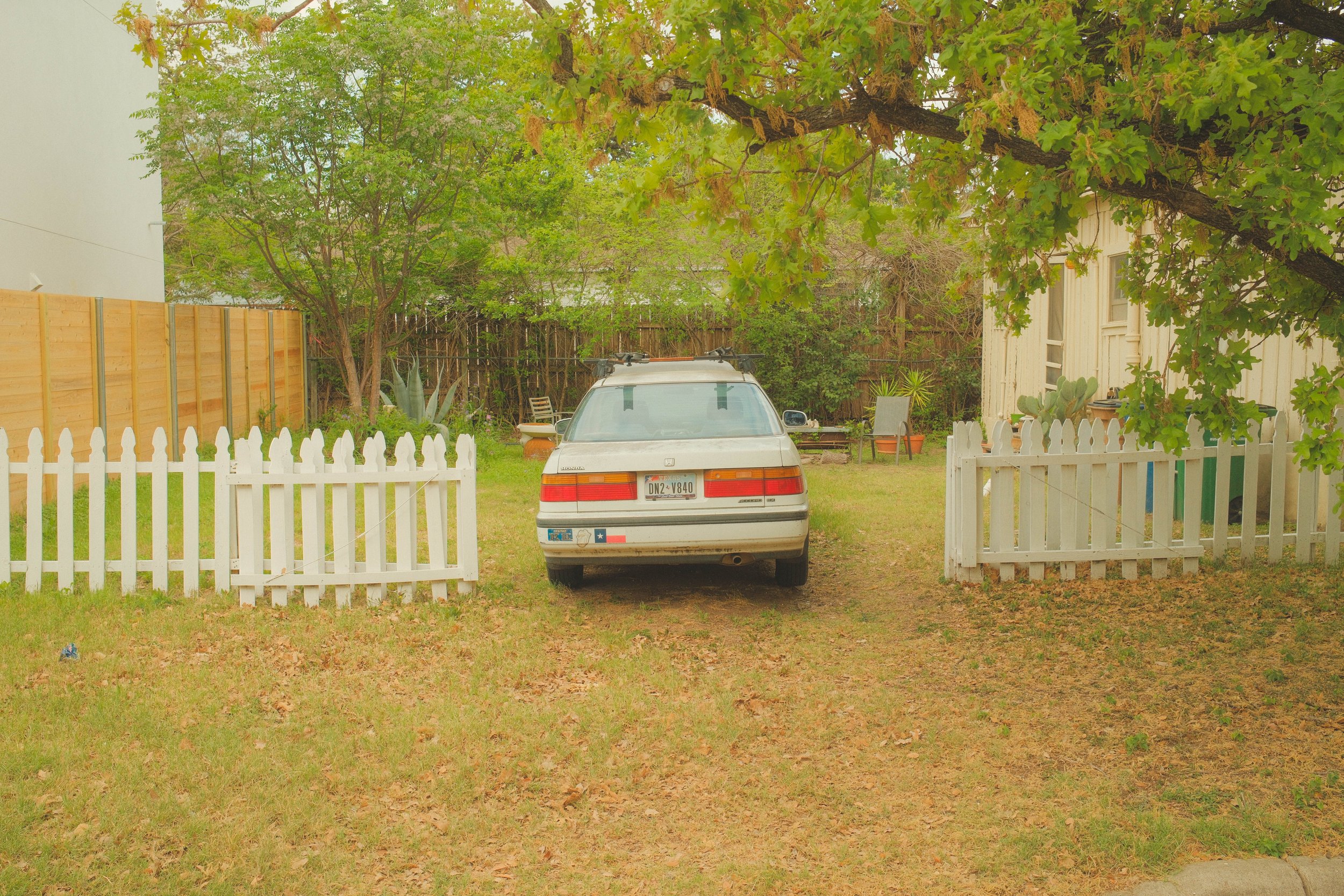 DSCF1988.jpg