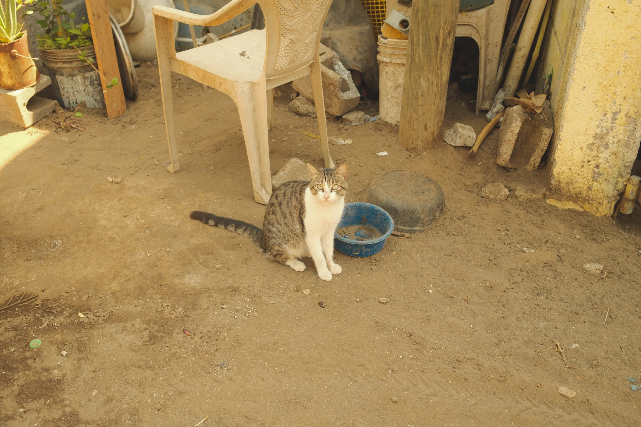 DSCF0615.jpg