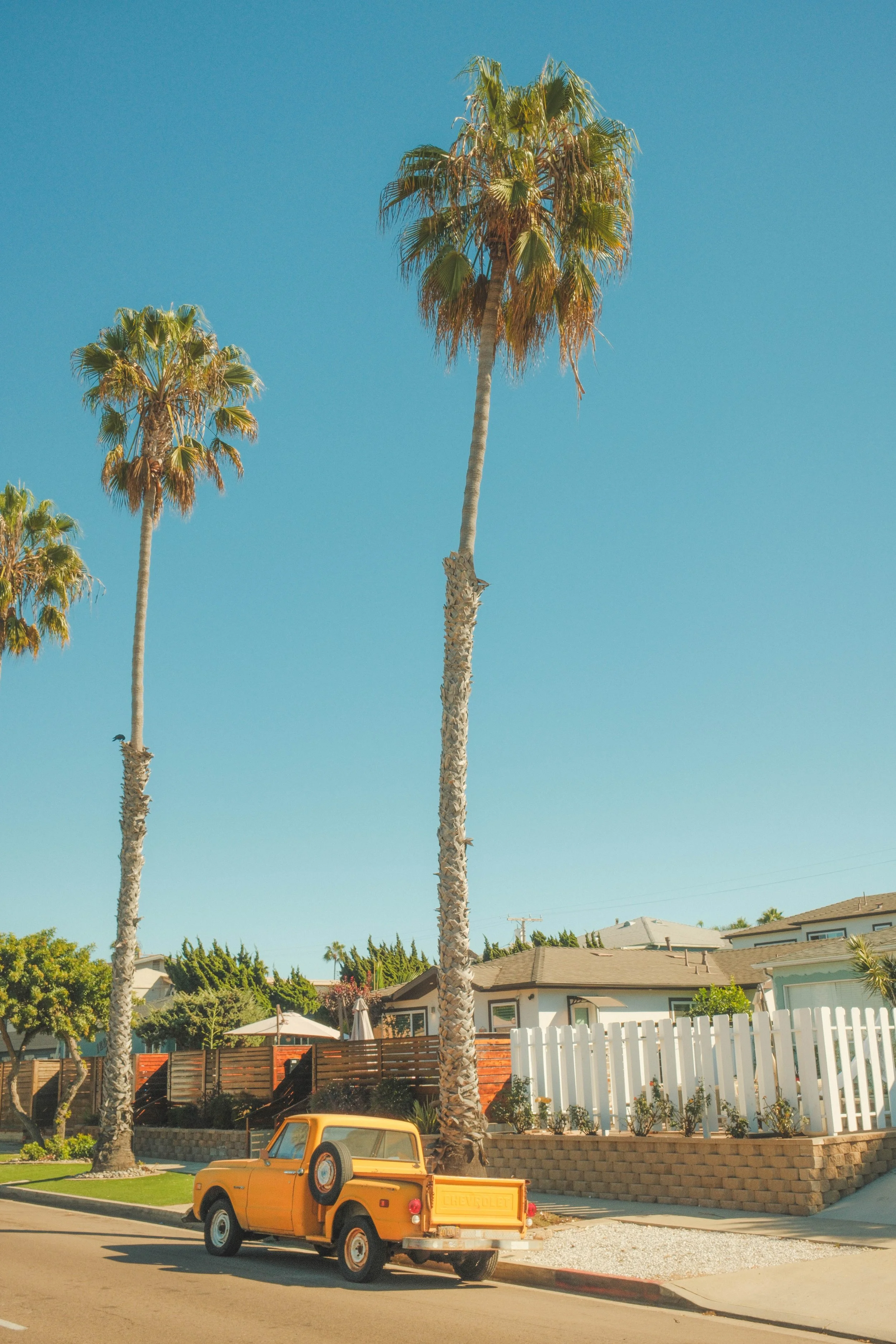 DSCF1132.jpg