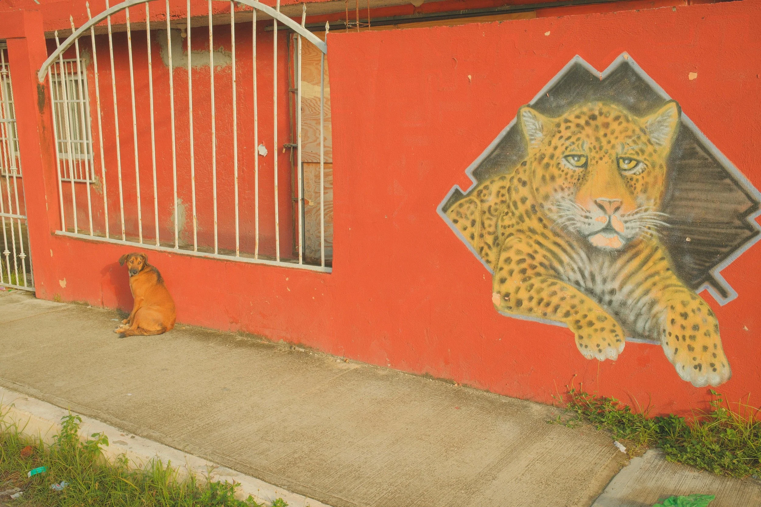 DSCF2276.jpg