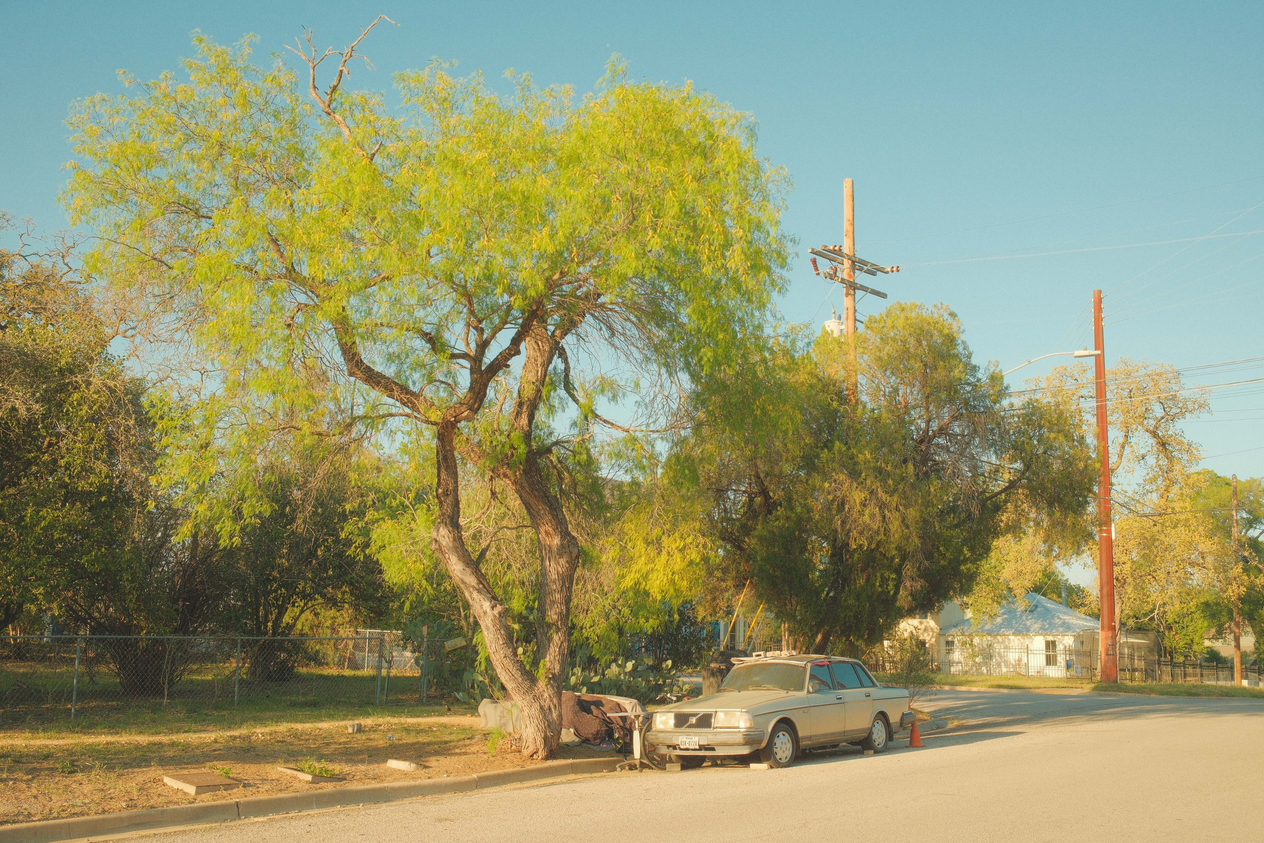 DSCF1975.jpg
