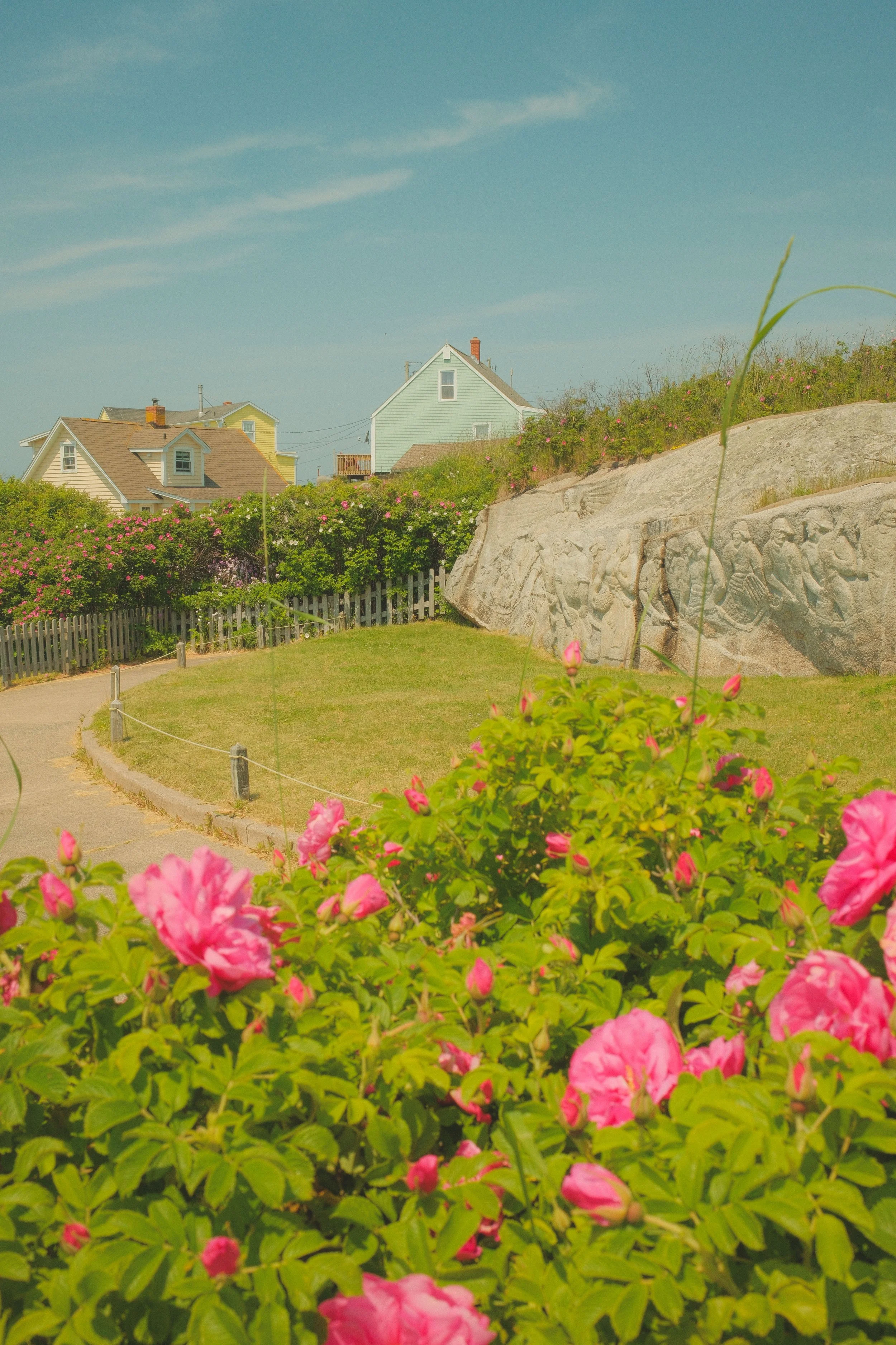 DSCF3819.jpg