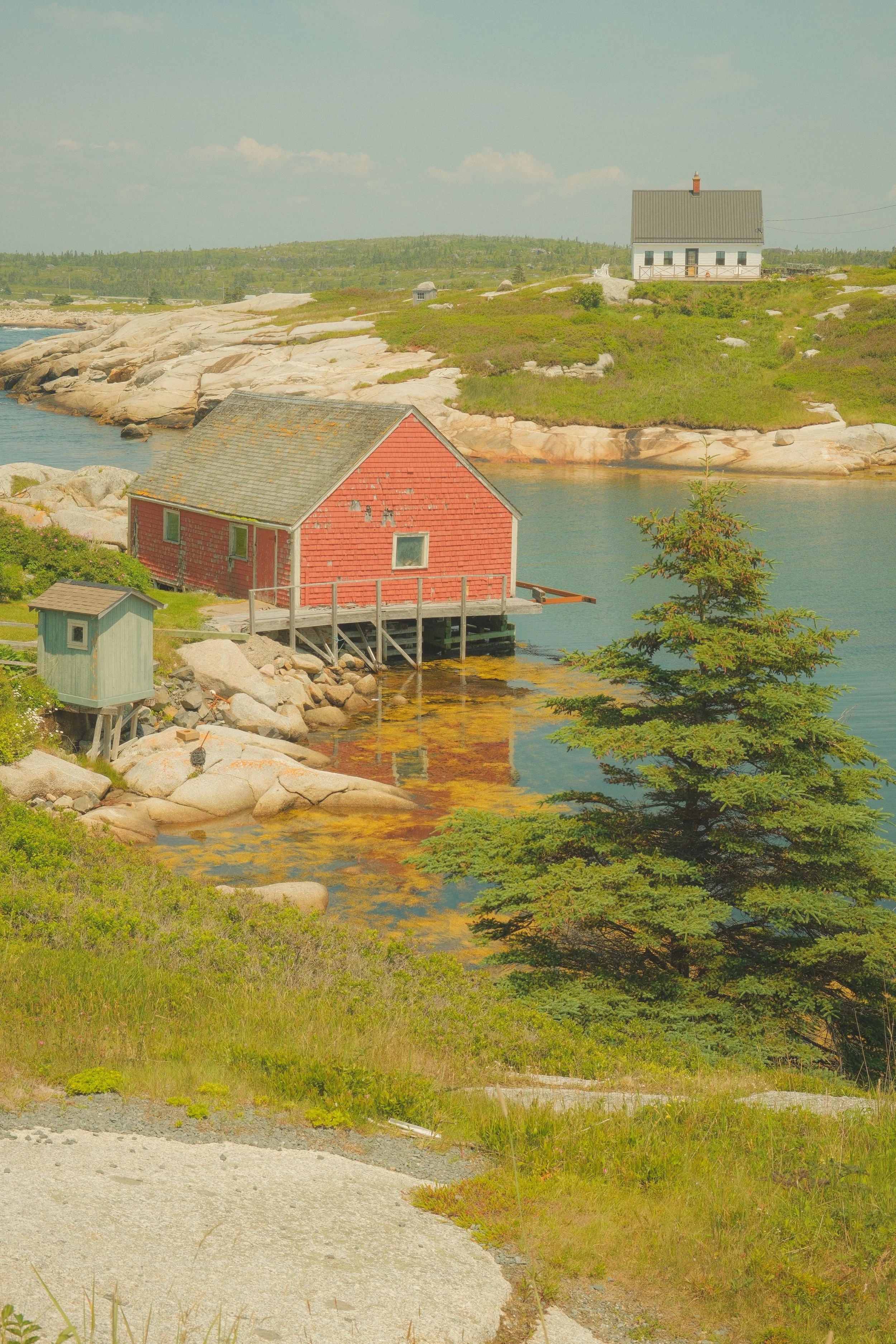 DSCF3836.jpg