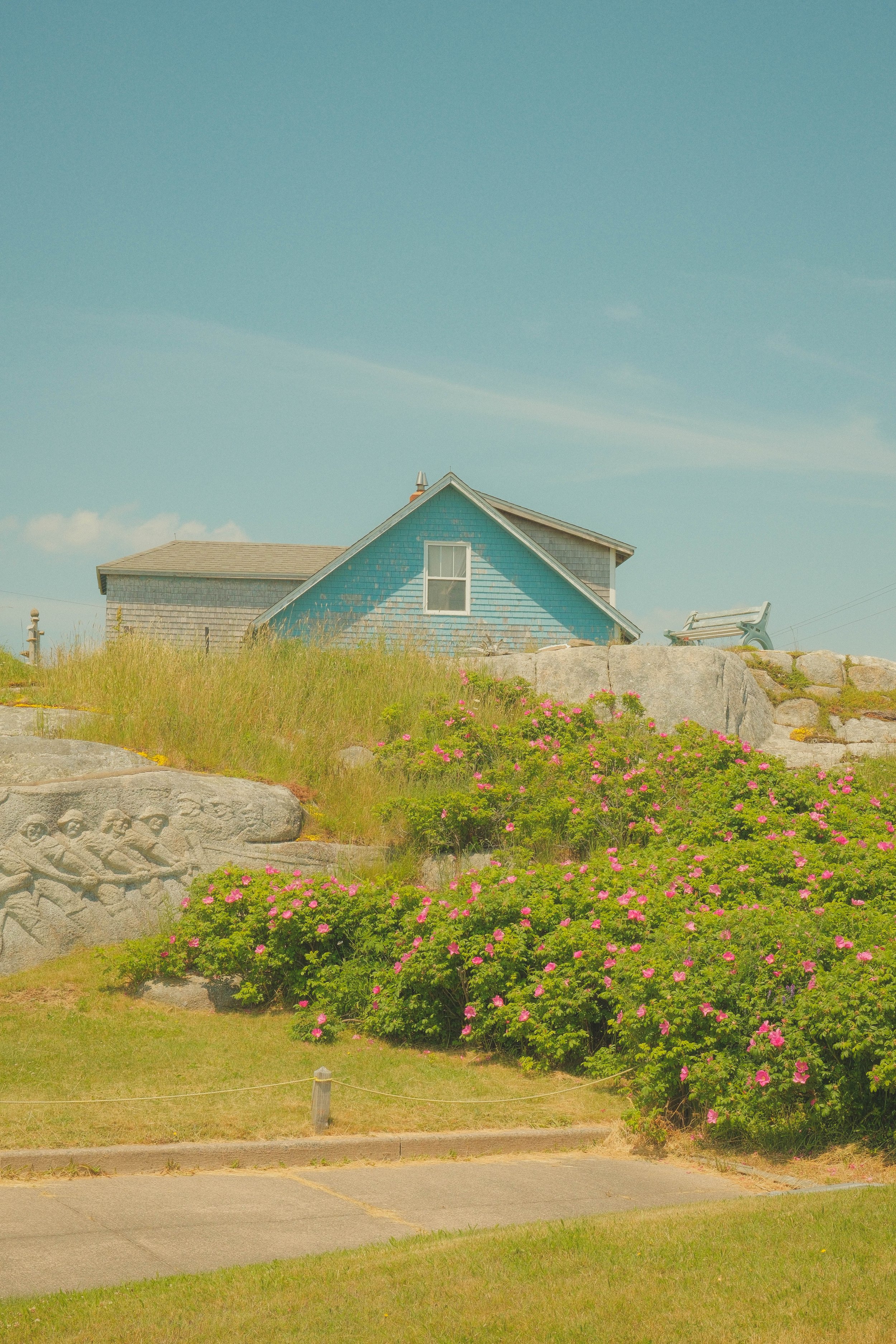 DSCF3915.jpg