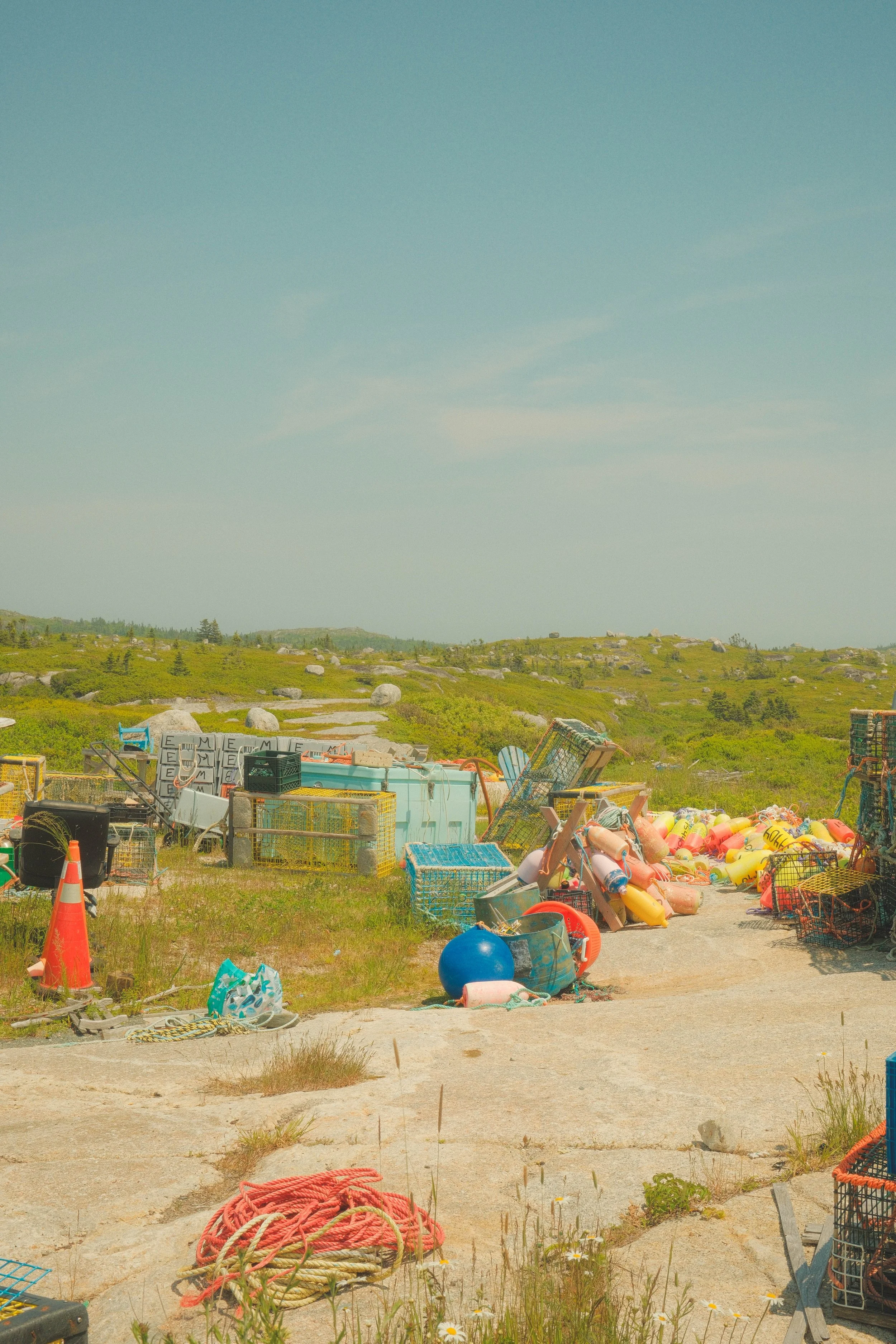 DSCF3917.jpg