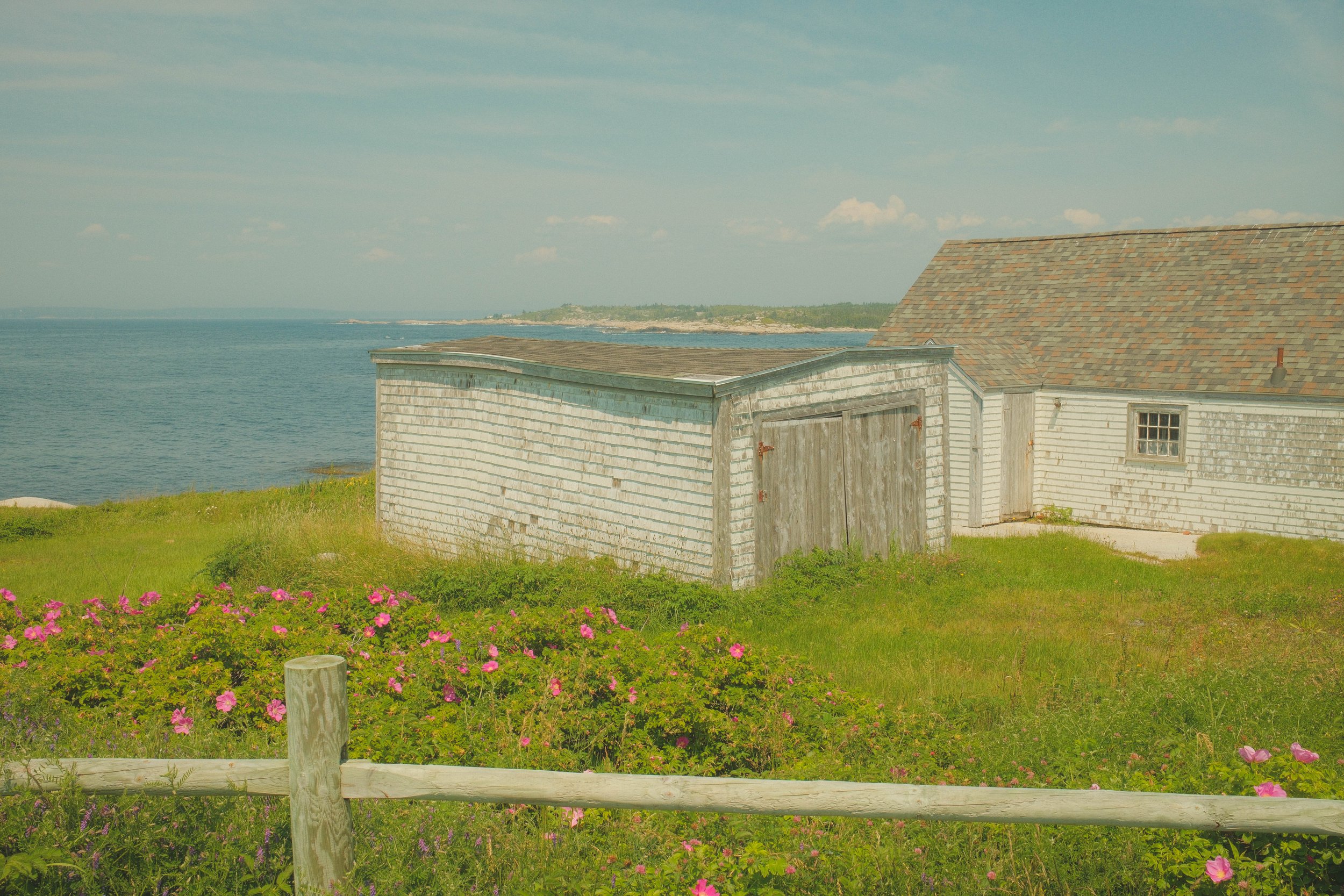 DSCF3843.jpg