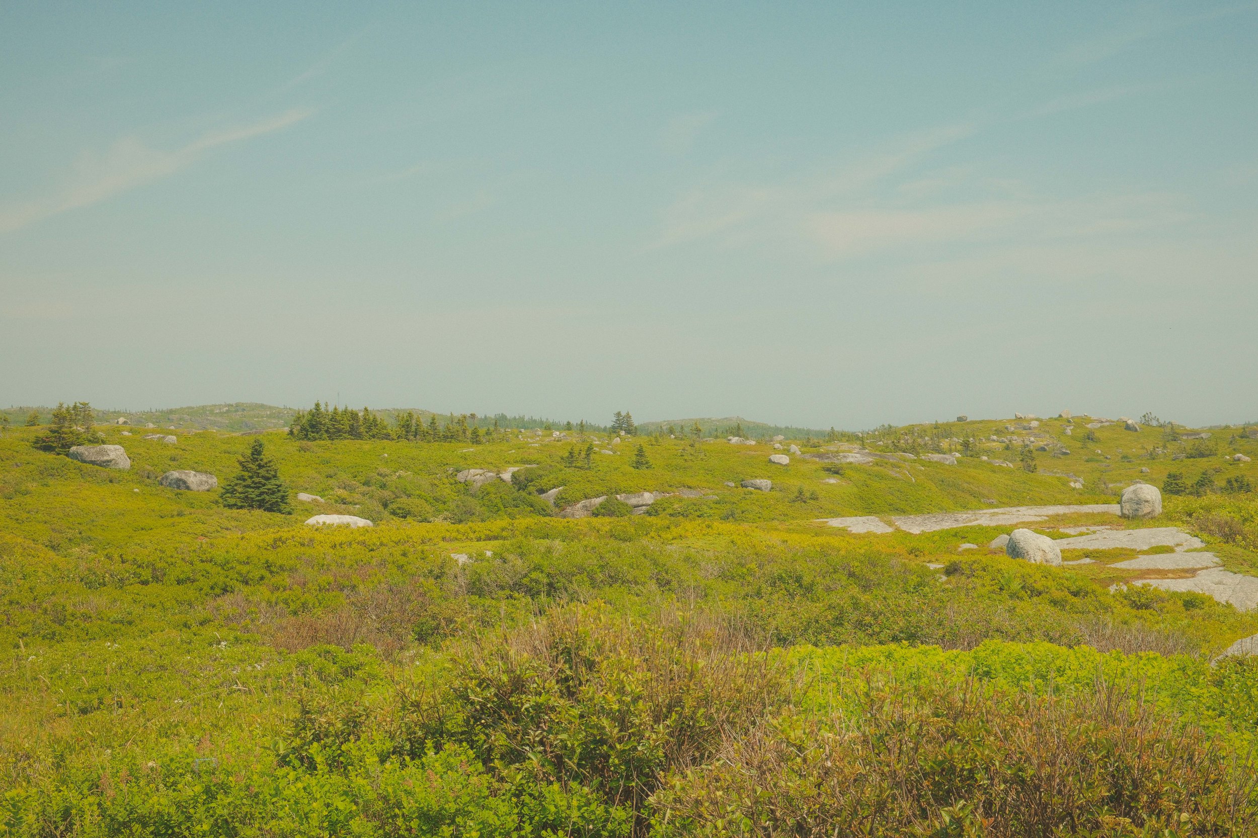 DSCF3918.jpg