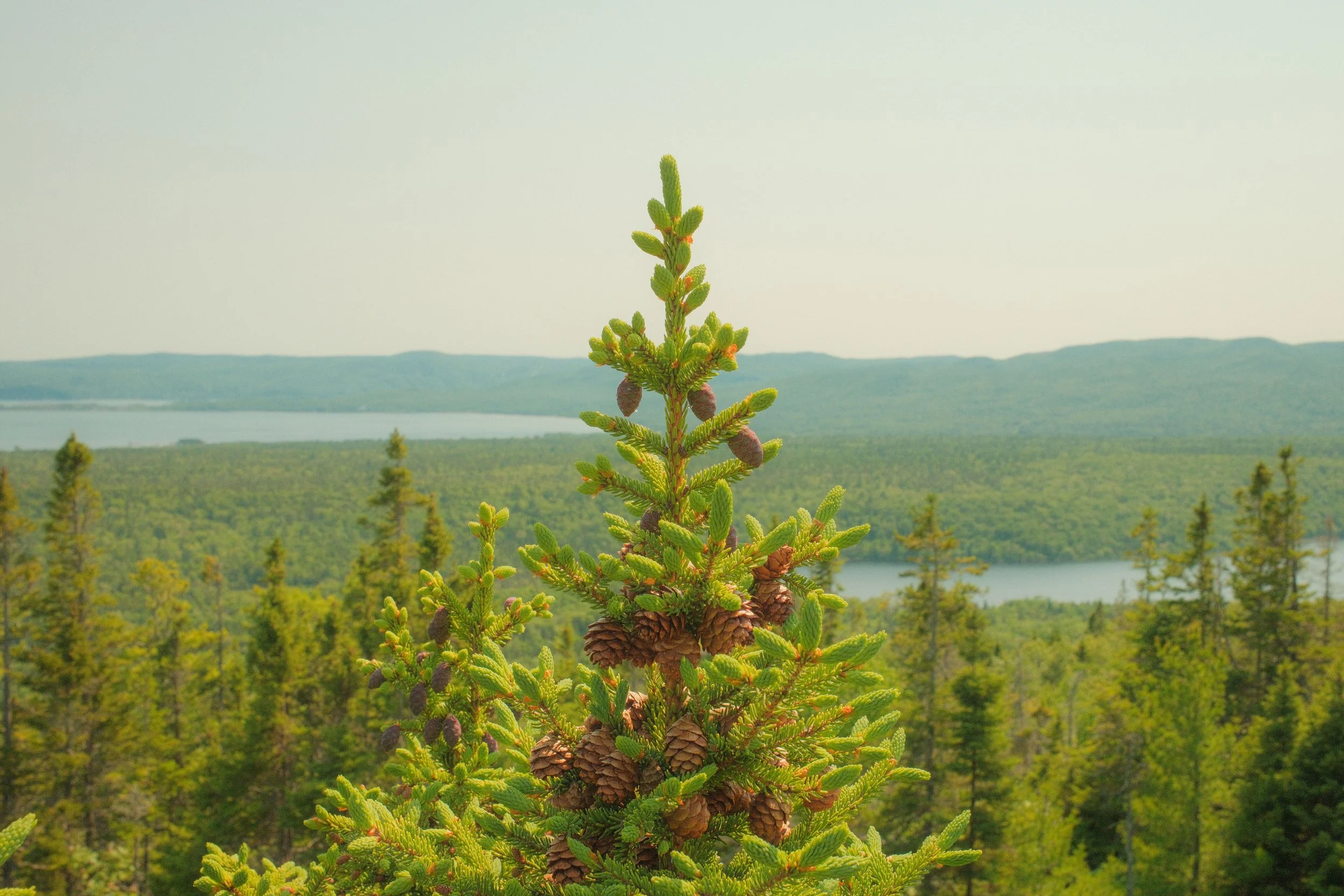 DSCF4187.jpg