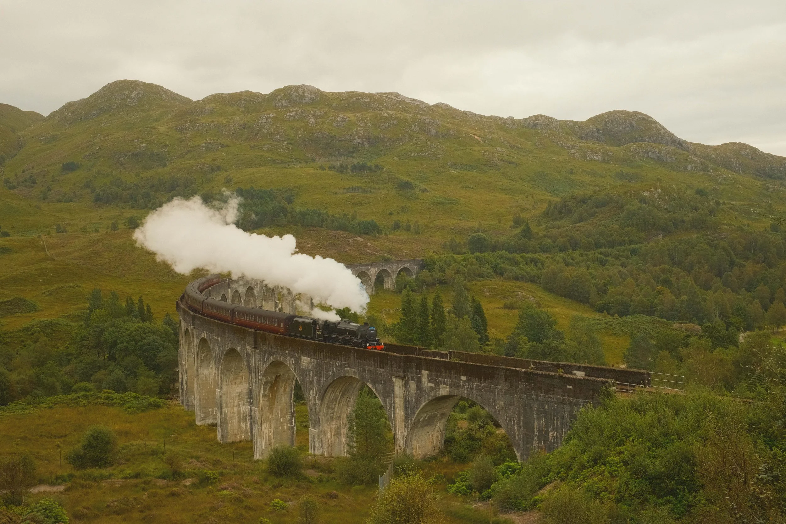 DSCF5813.jpg