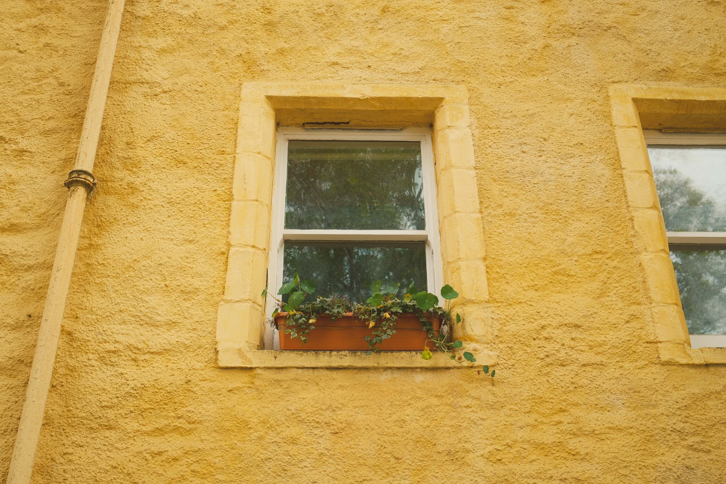 DSCF5223.jpg