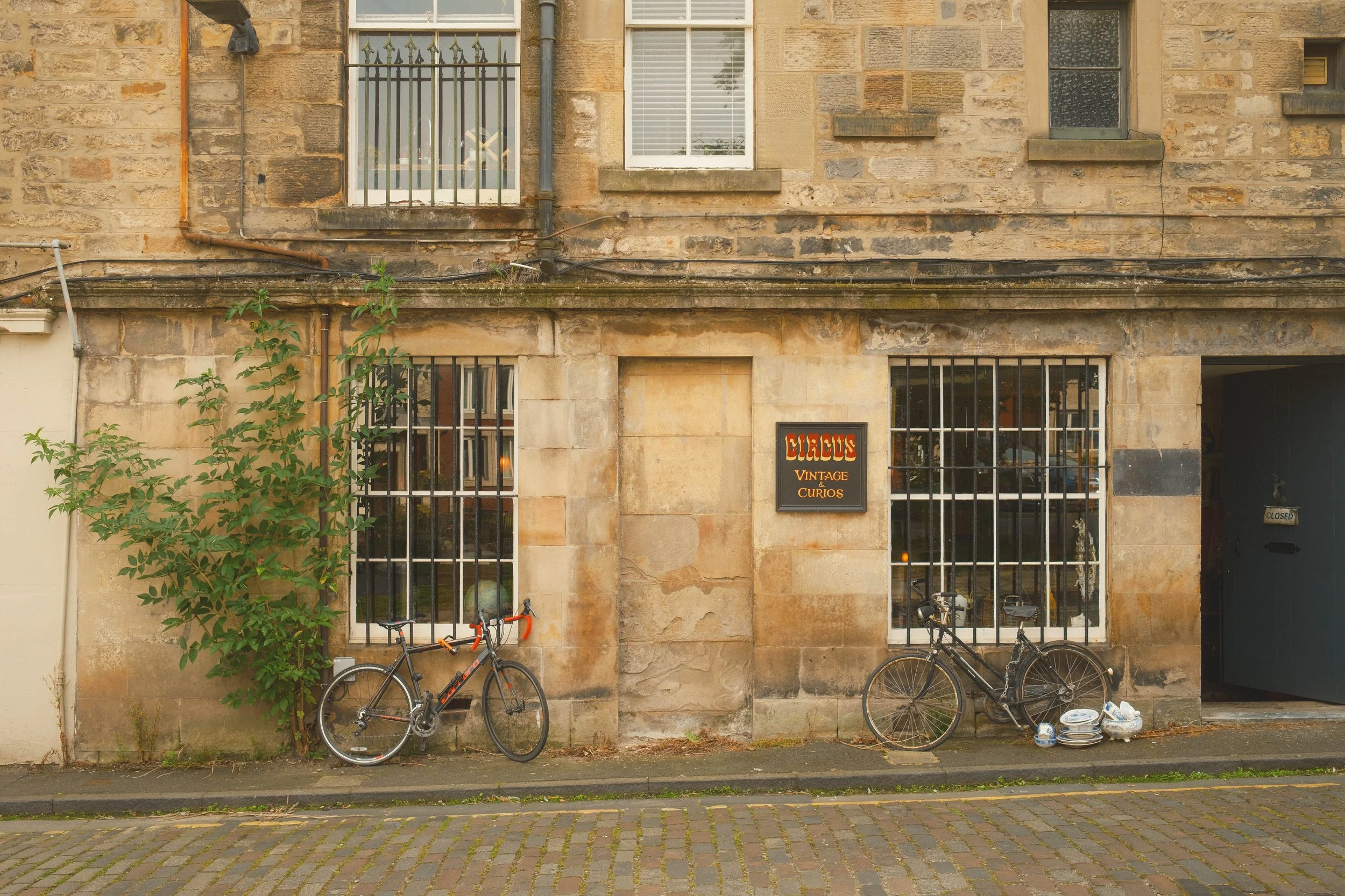 DSCF5270.jpg