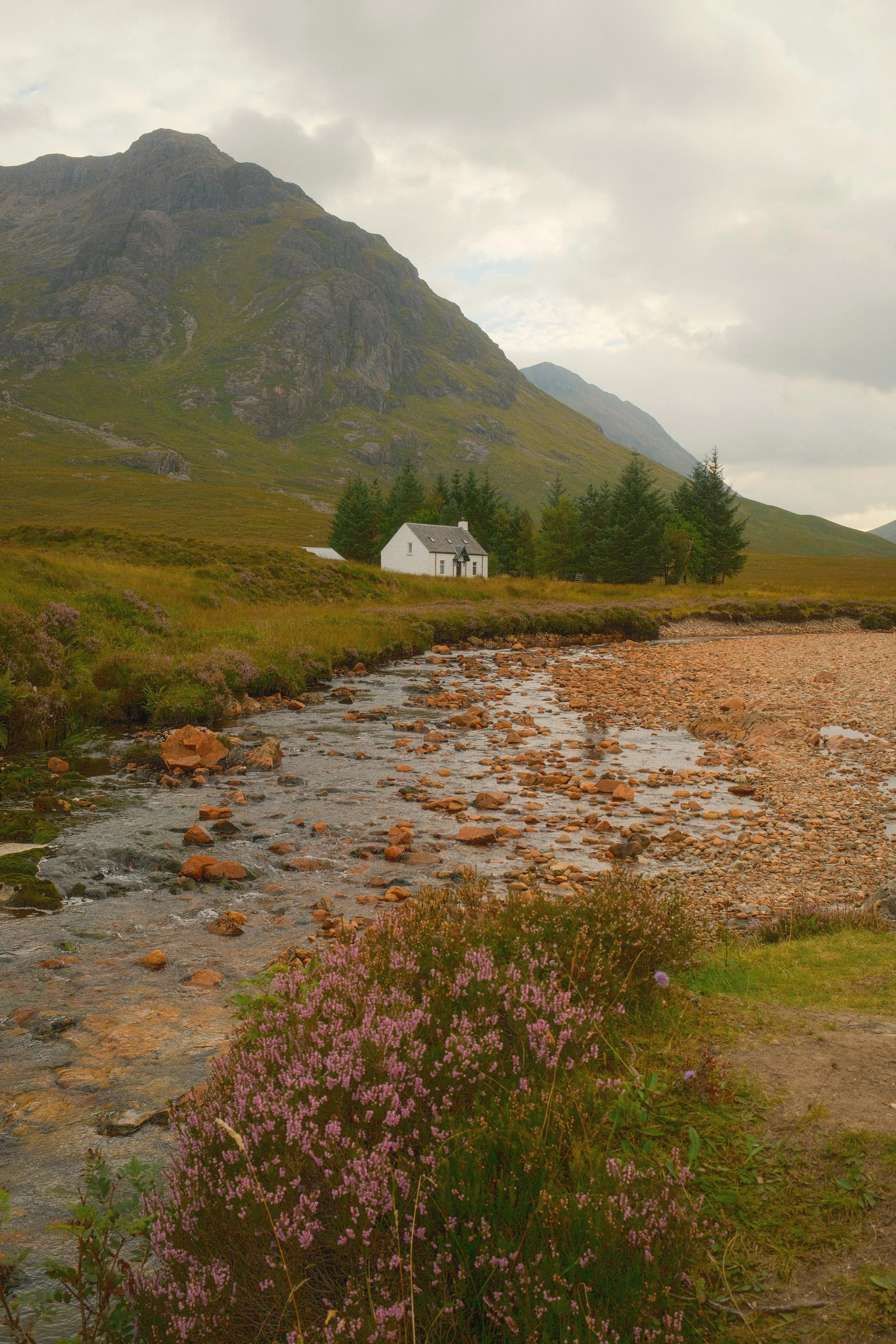 DSCF5690.jpg