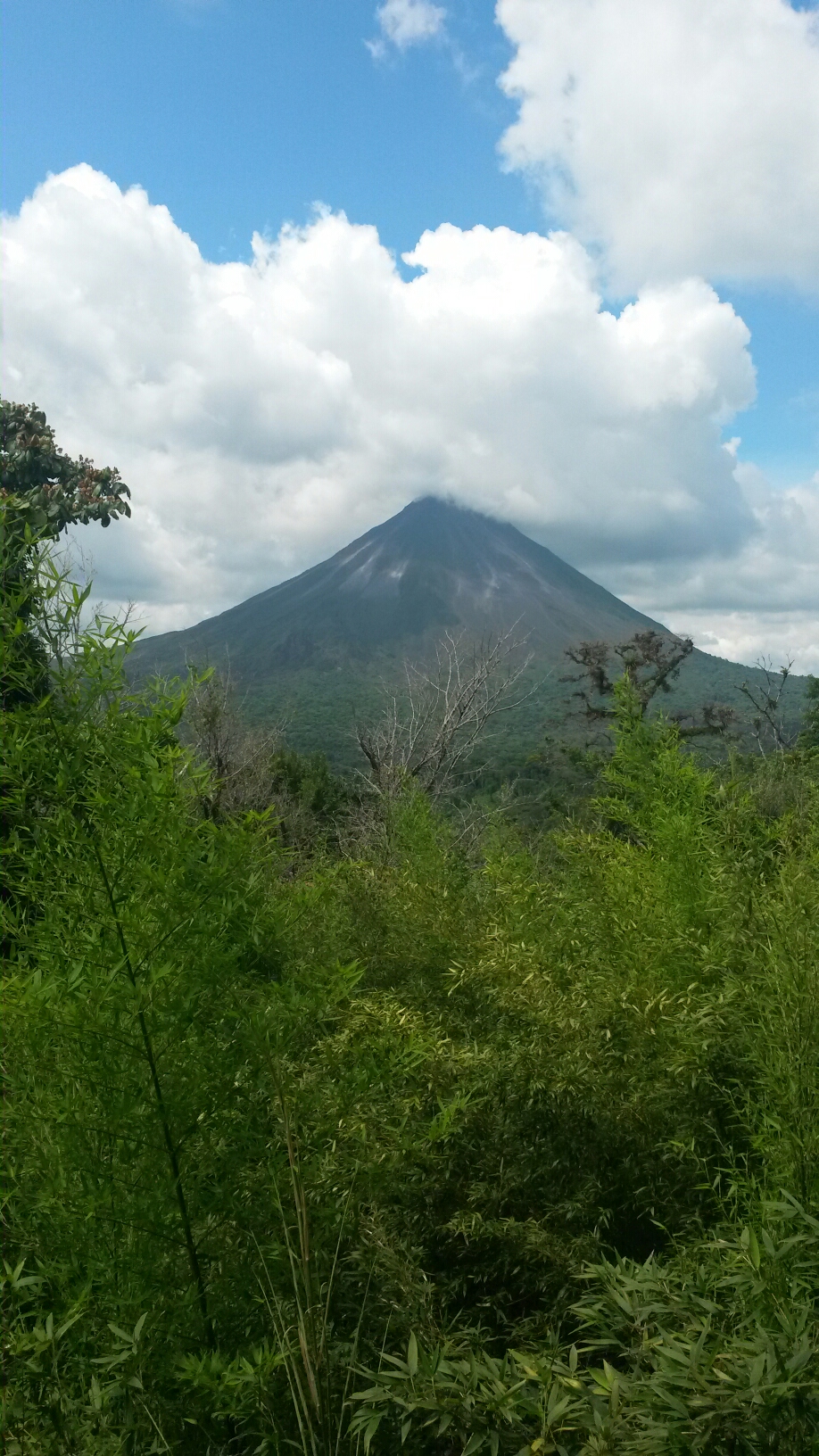 20180511_141453.jpeg
