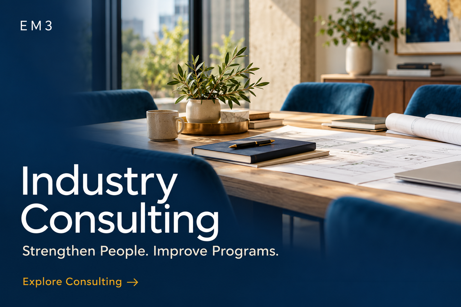 Industry Consulting for Better Programs-6.png