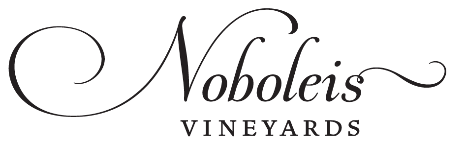 Noboleis_Logo1.png