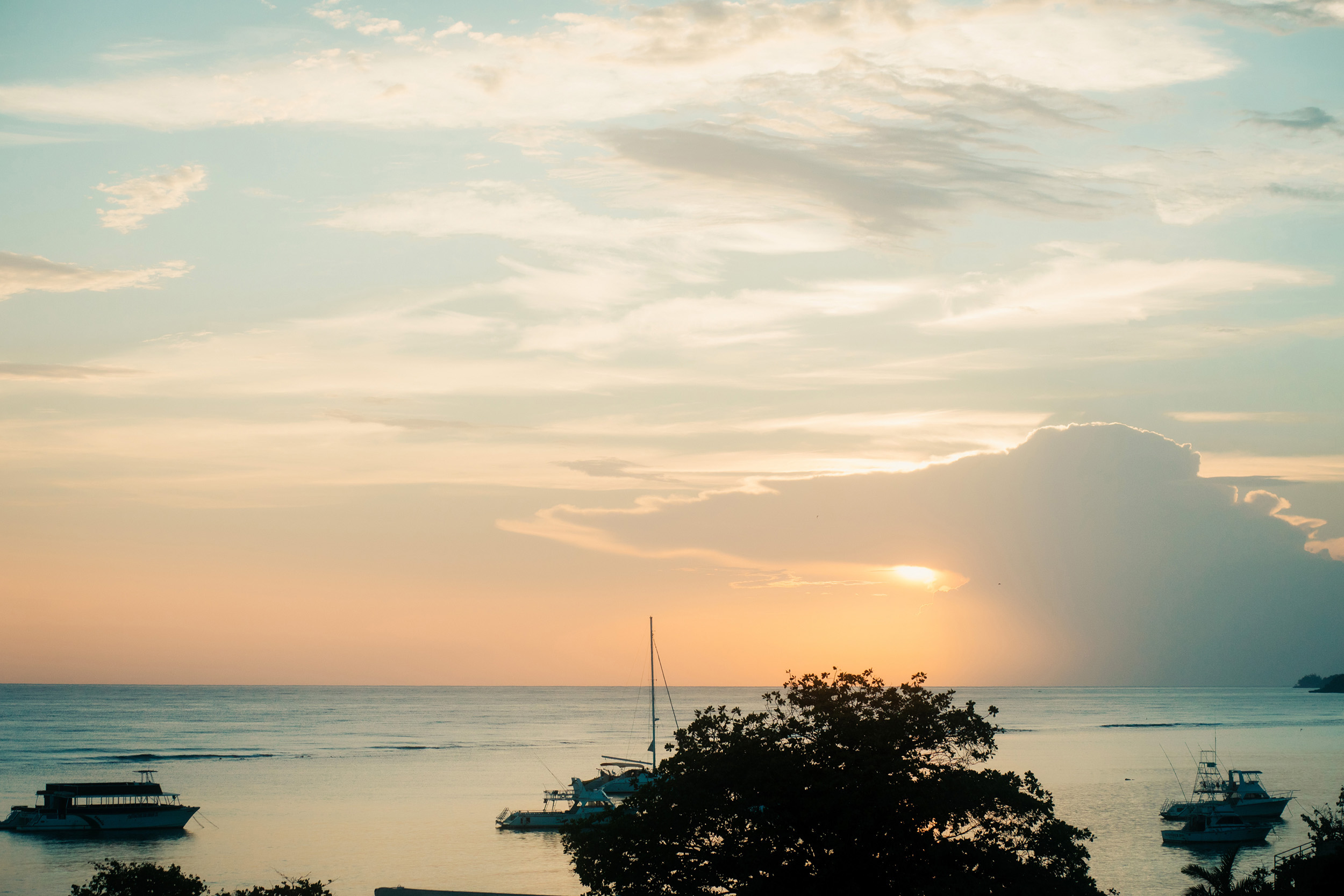 20180802_0005.jpg