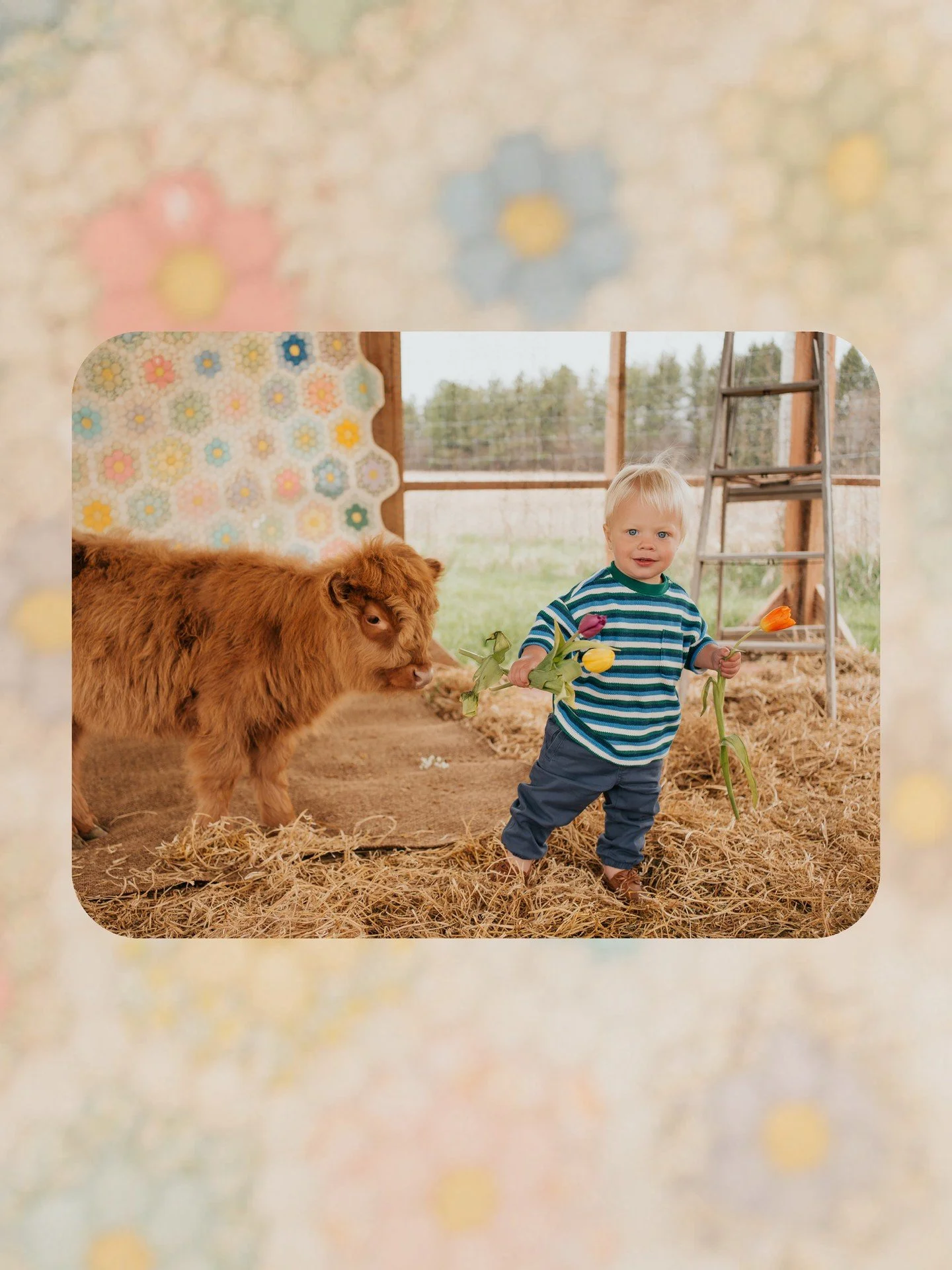 🌸What&rsquo;s been making you happy lately? For me, it has been gardening and visiting Kamins Farm, and no, this isn&rsquo;t an ad. With everything going on in our world, we have to find these little things that make us smile. I&rsquo;d love to know