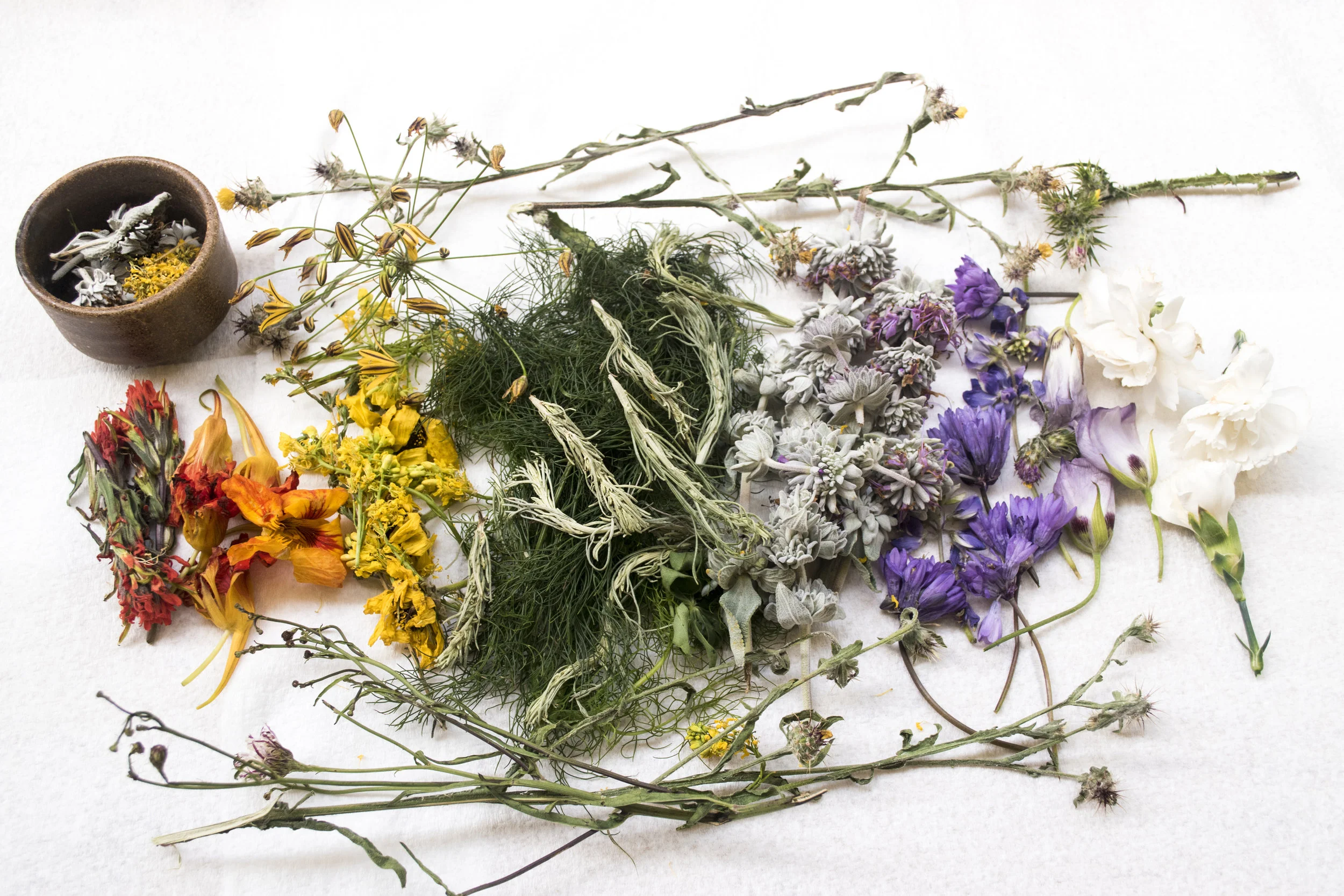 AdobeStock_152498476.jpeg