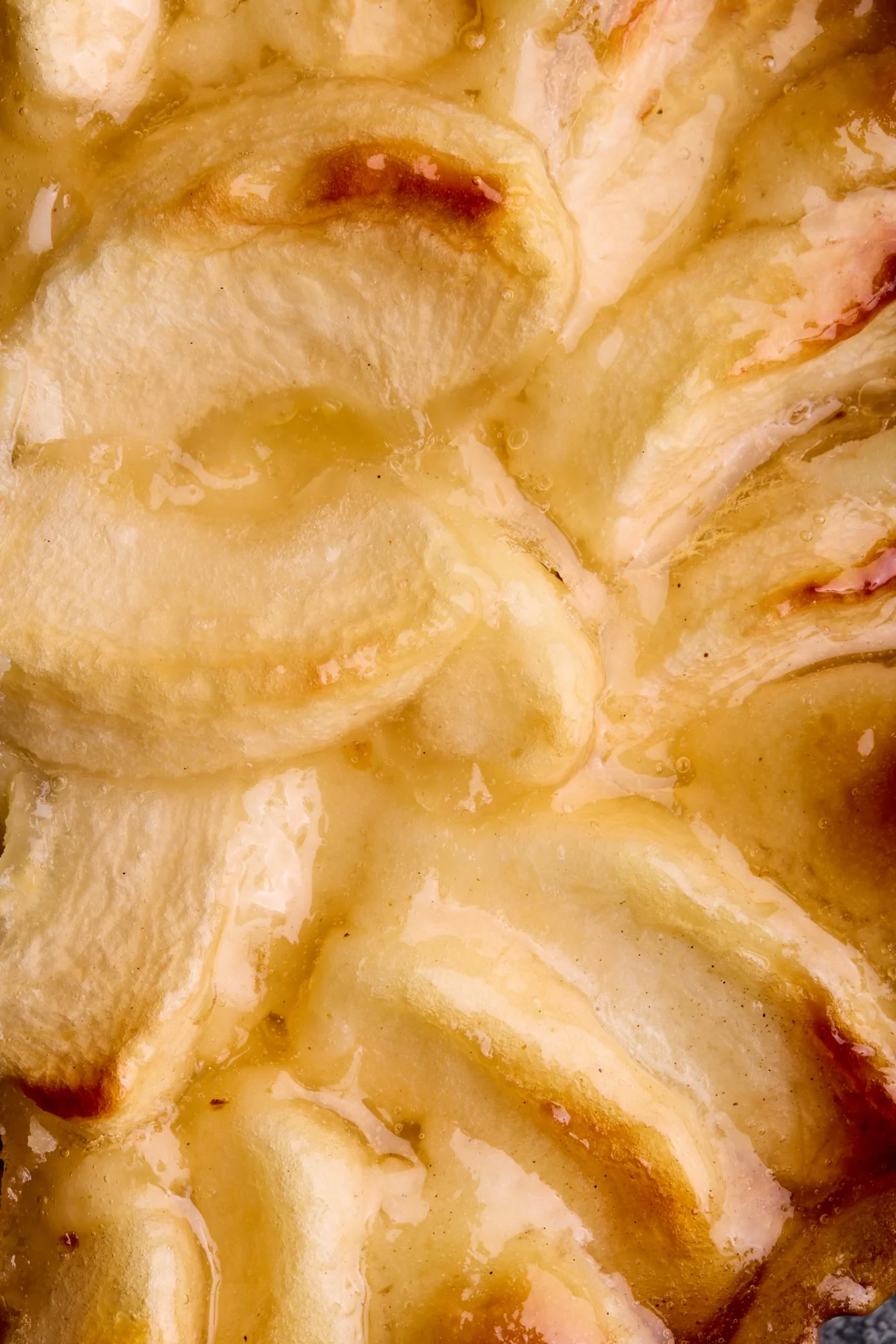 _APLP_1620_WEB 1.jpg