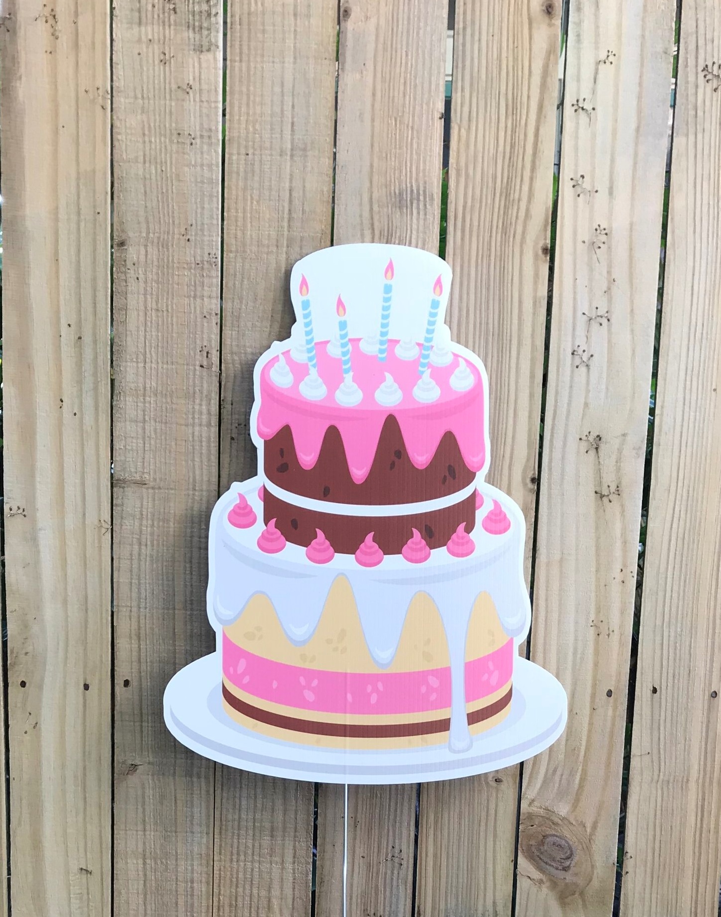 Pink Birthday Cake.jpg