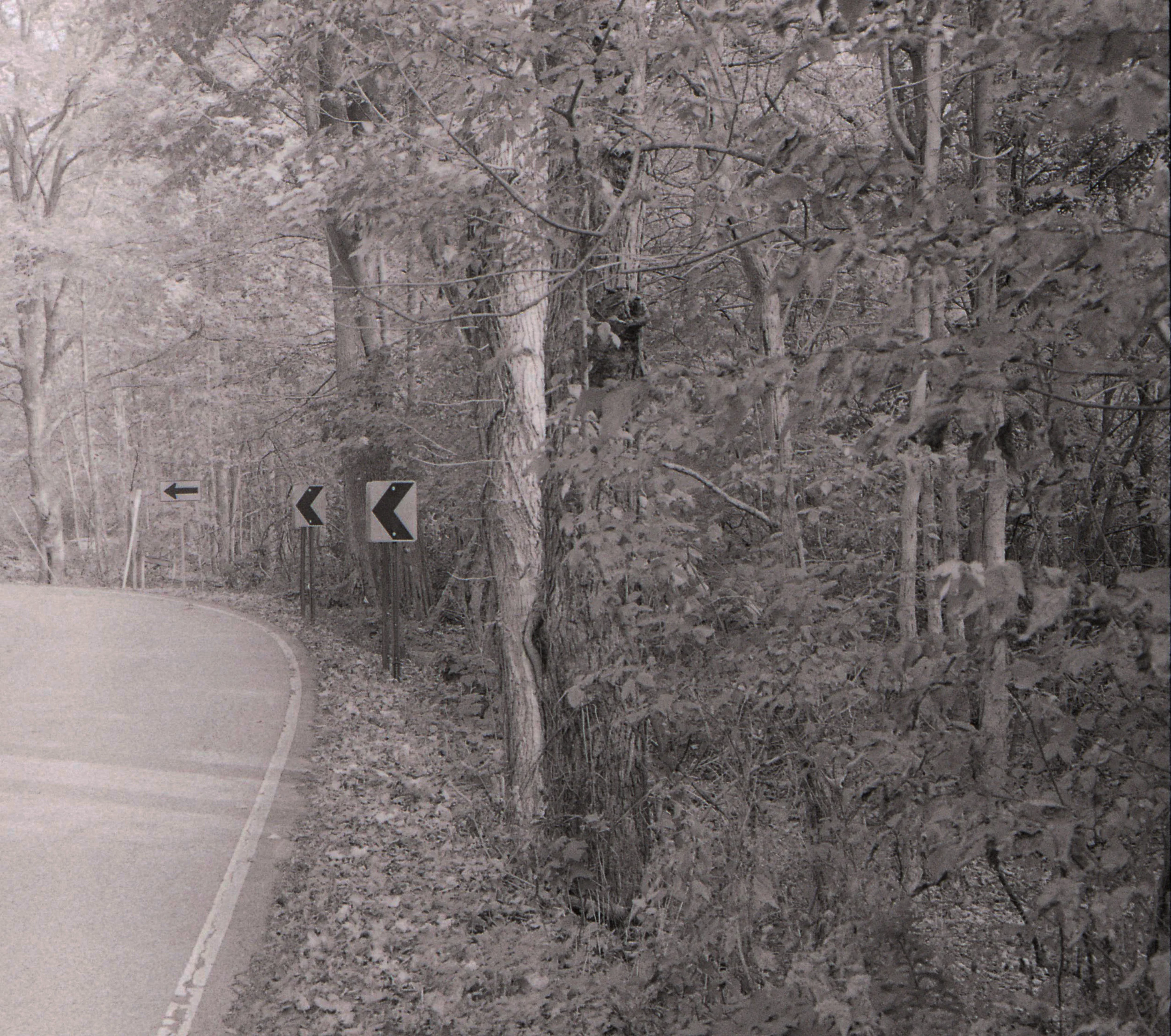 img108.jpg