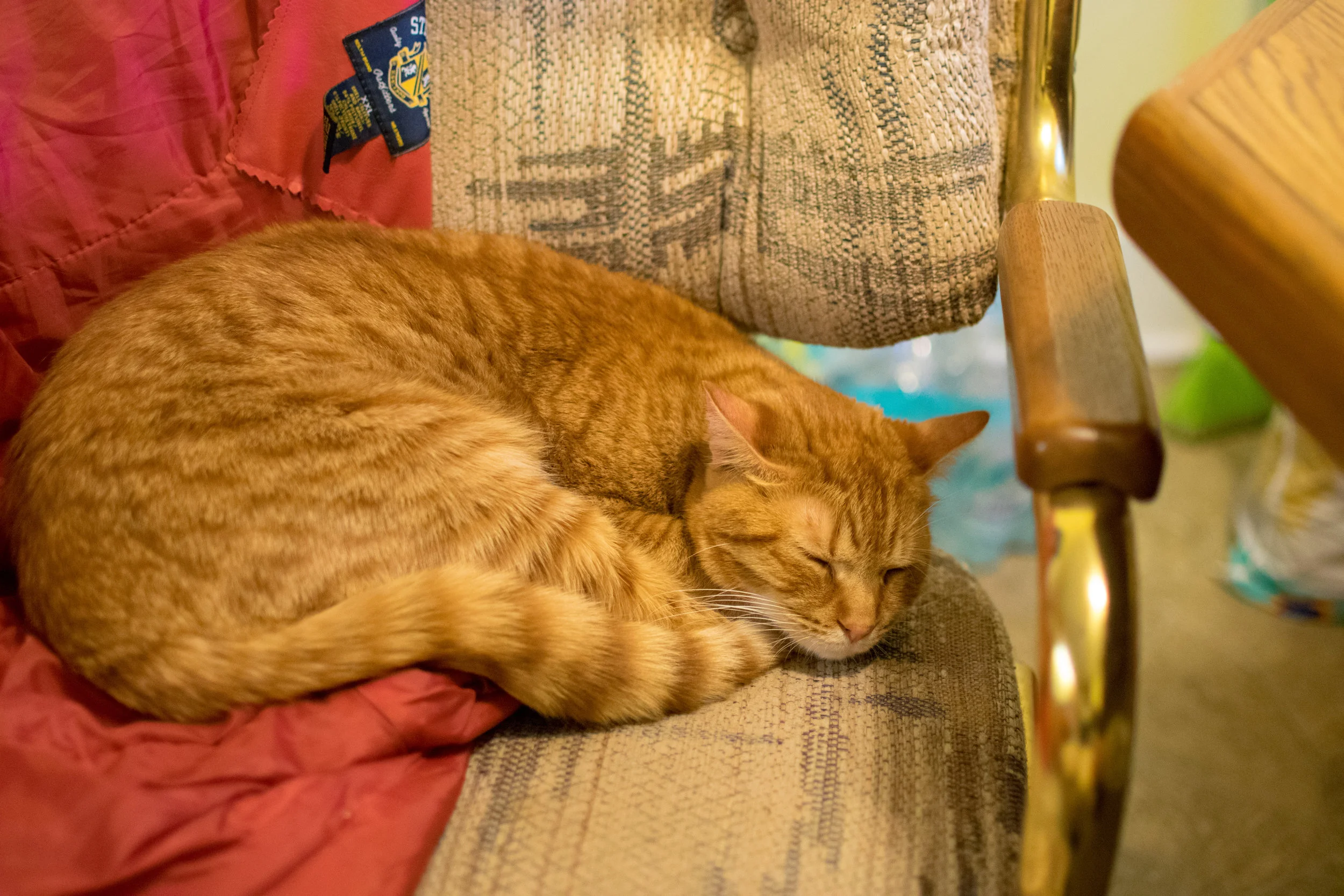 DSC_0488.jpg