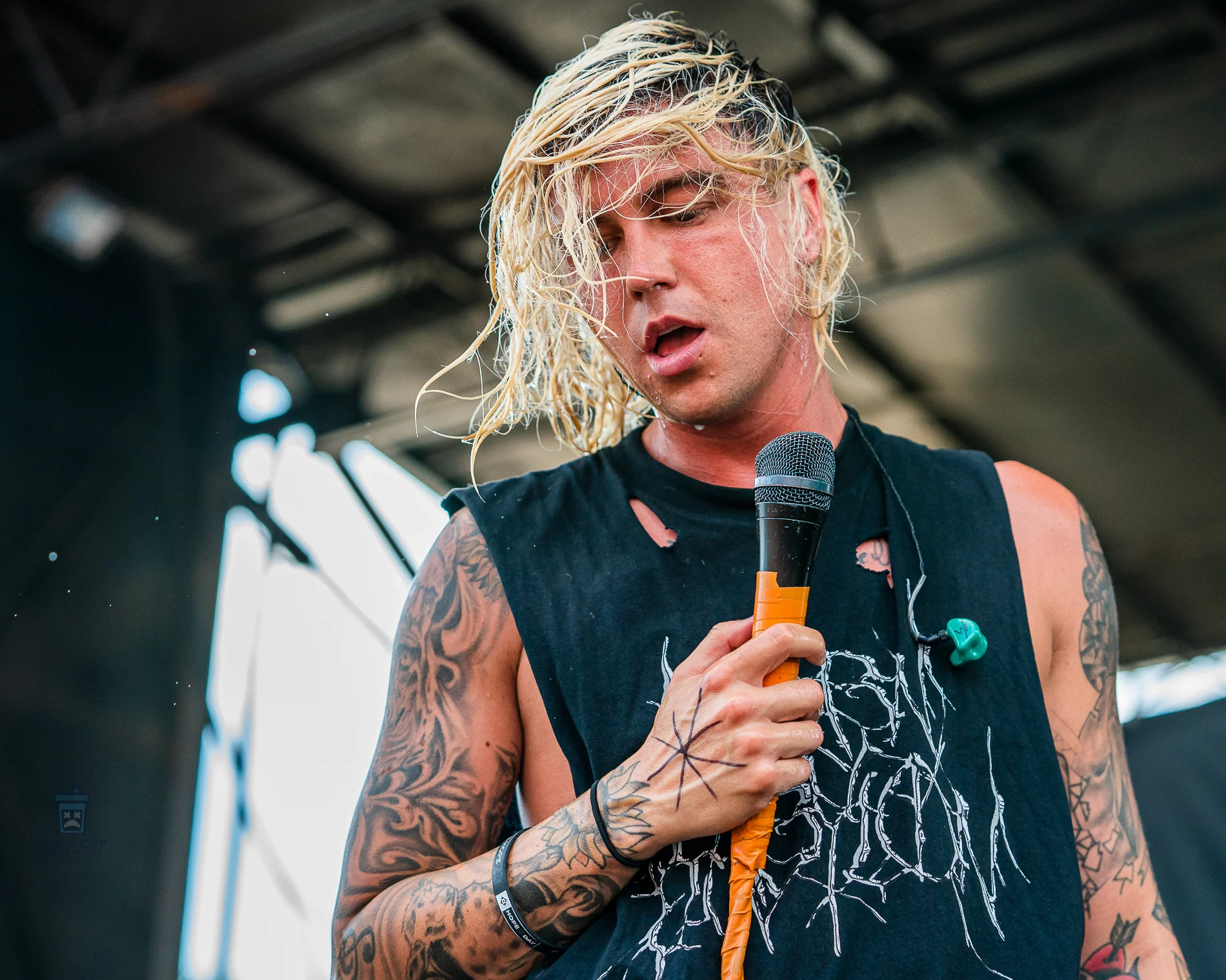 Sleepingwithsirens2 2.jpg
