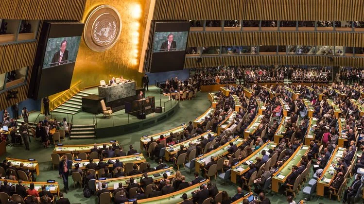 UN-General-Assembly.small_.jpg