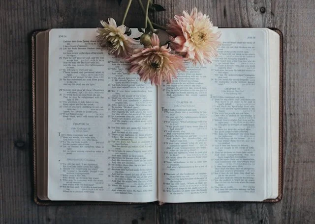 Open Bible with pale pink flowers in the middle of it