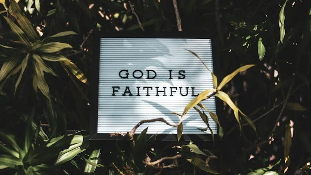 Sign in a tree that says God is faithful