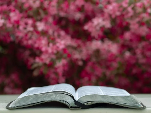 Open Bible in front of backdrop of flowers