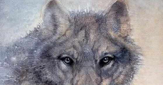 Susan Seddon Boulet; Wolf Spirit