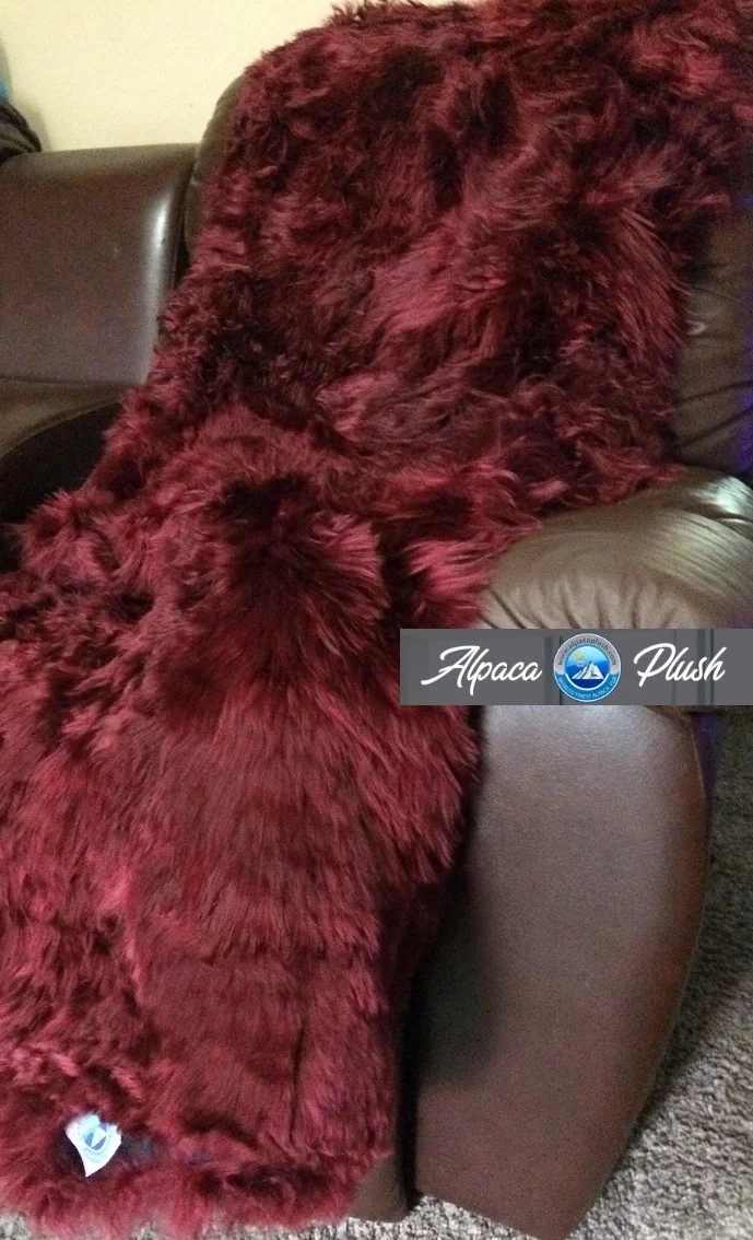 4 x 6 Bordeaux Splash Suri Throw Ready.jpg