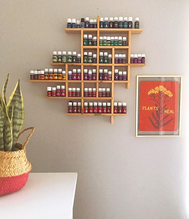 Plants heal 🌿 Question: does anyone know if there is a theme/method to the color of the bottle labels for @youngliving oils? I feel like i need to know this.