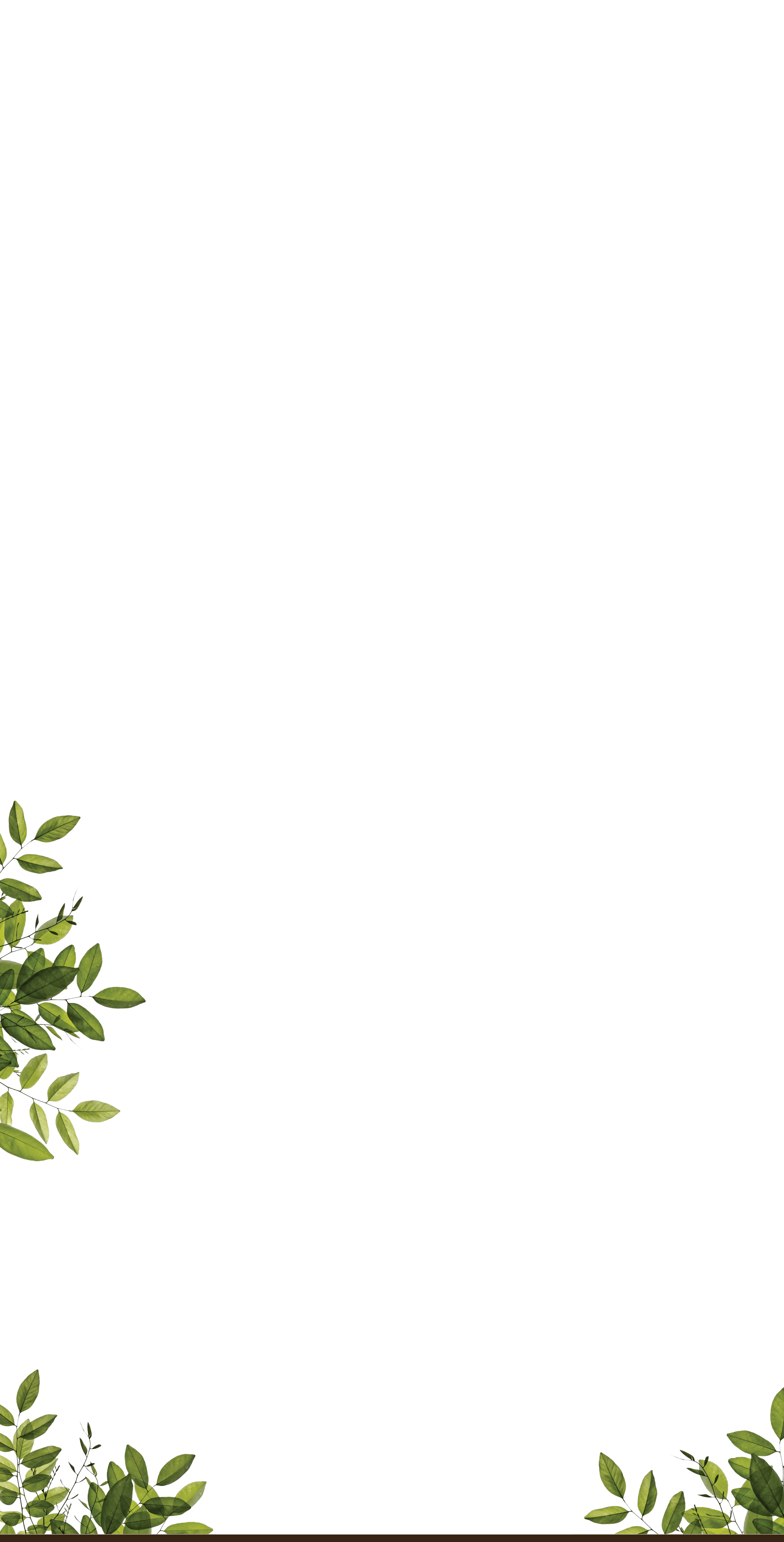 Galleries-background.png